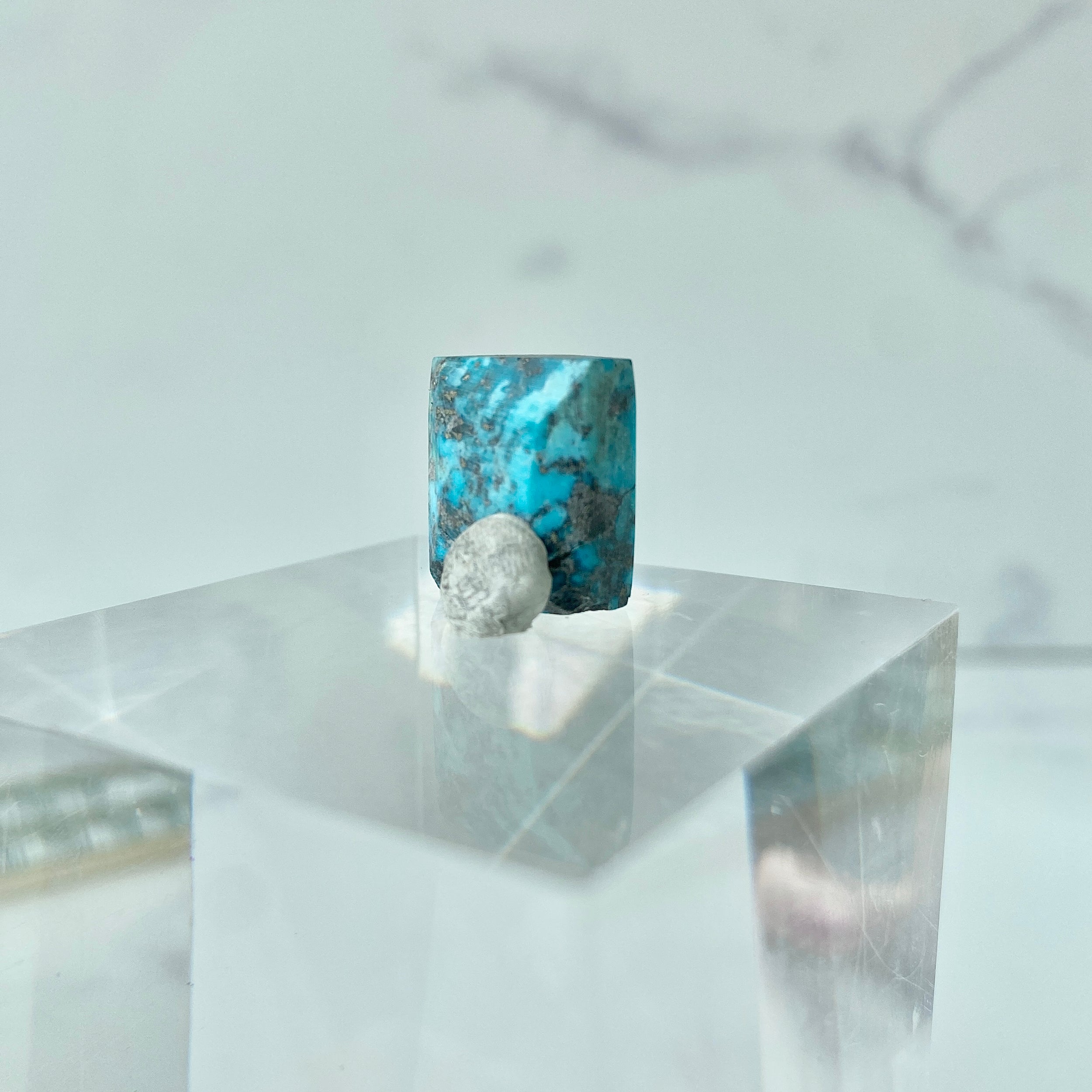 Türkis Cabochon - Detailansicht