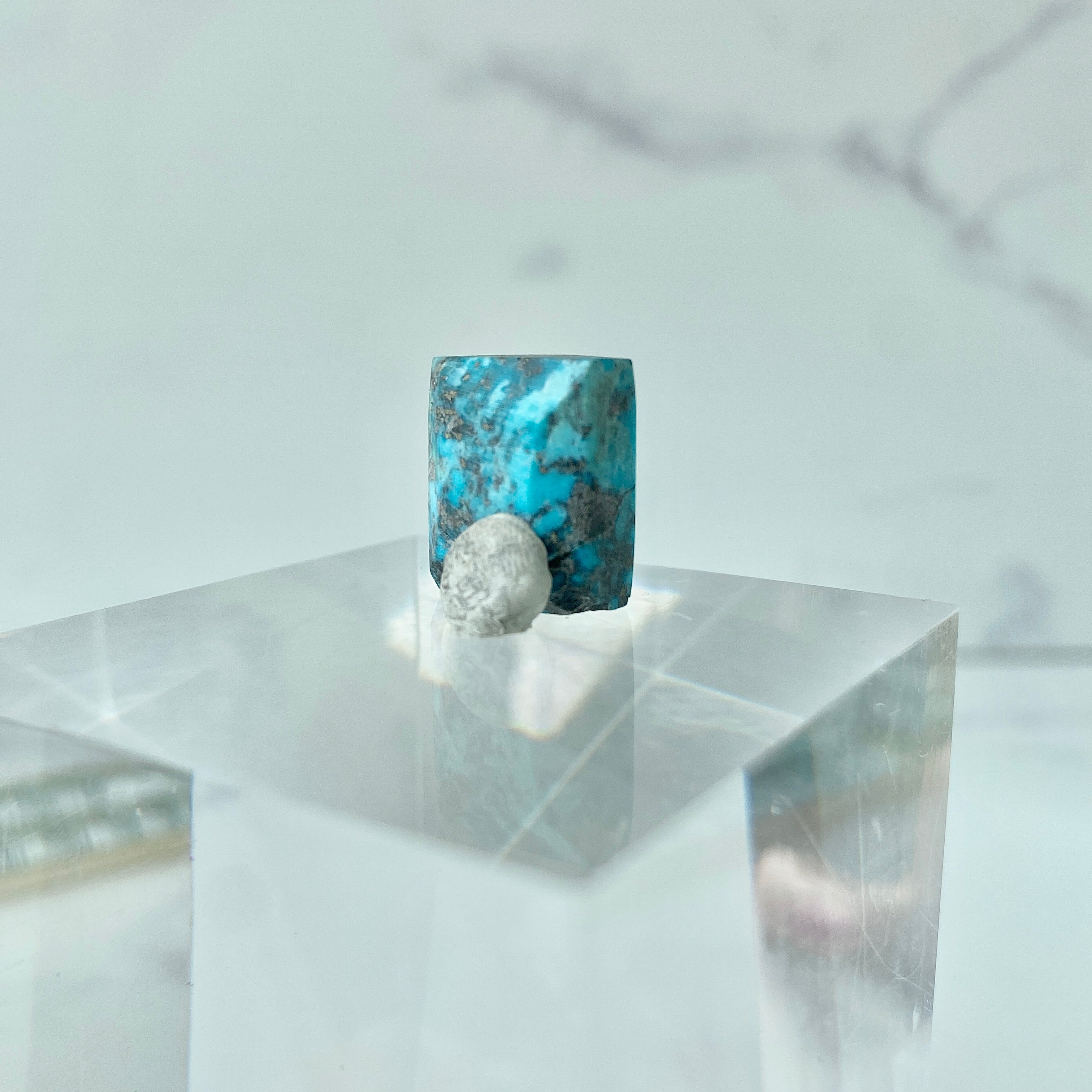 Türkis Cabochon - Detailansicht