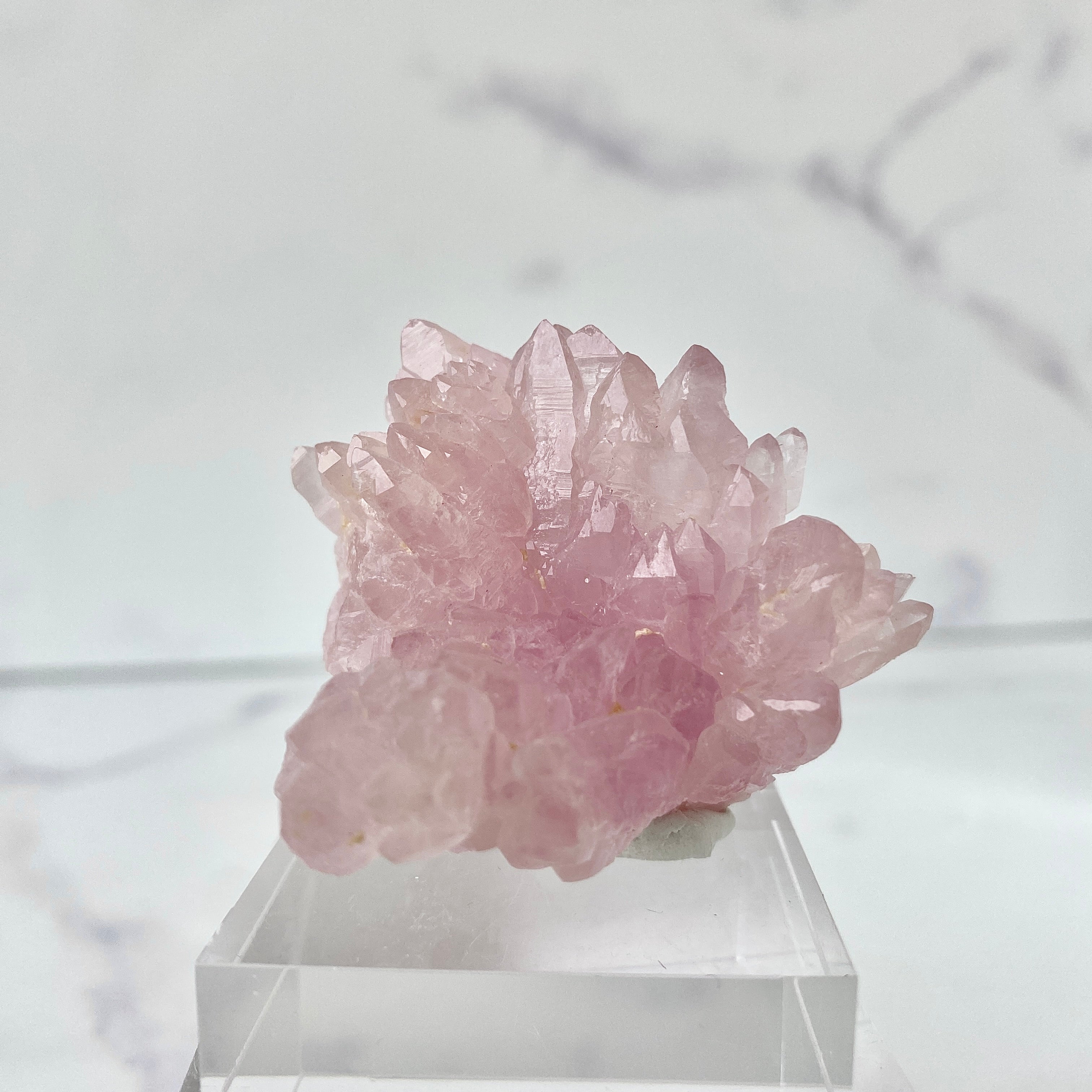 Canga Rosa (Rosaquarz) - Abbildung