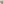 Türkis Cabochon - Detailaufnahme