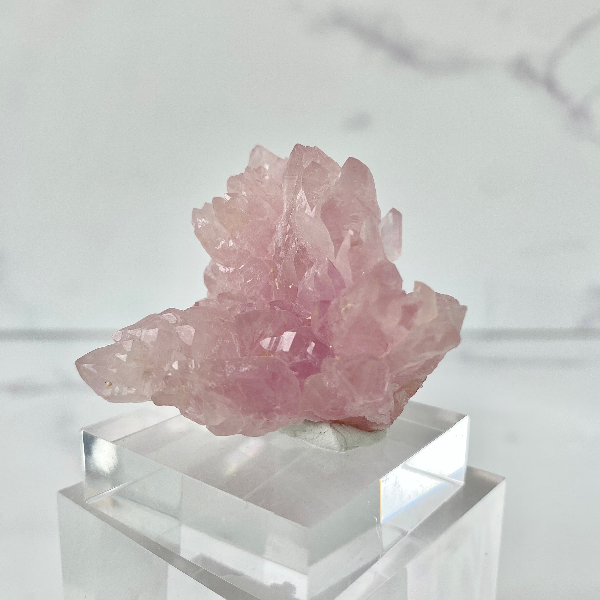 Canga Rosa (Rosaquarz) - Aufnahme YGOM