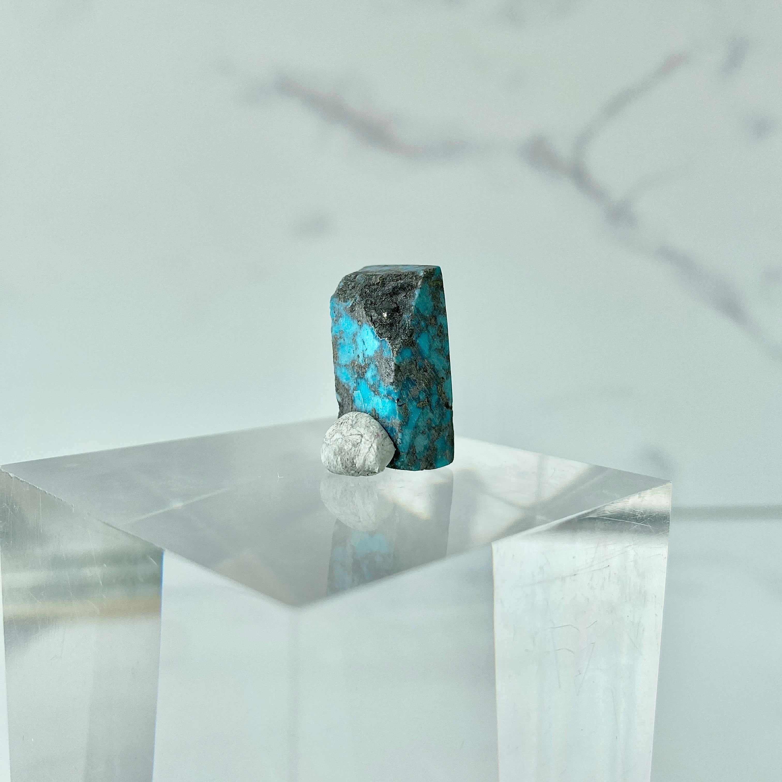 Türkis Cabochon - Nahaufnahme