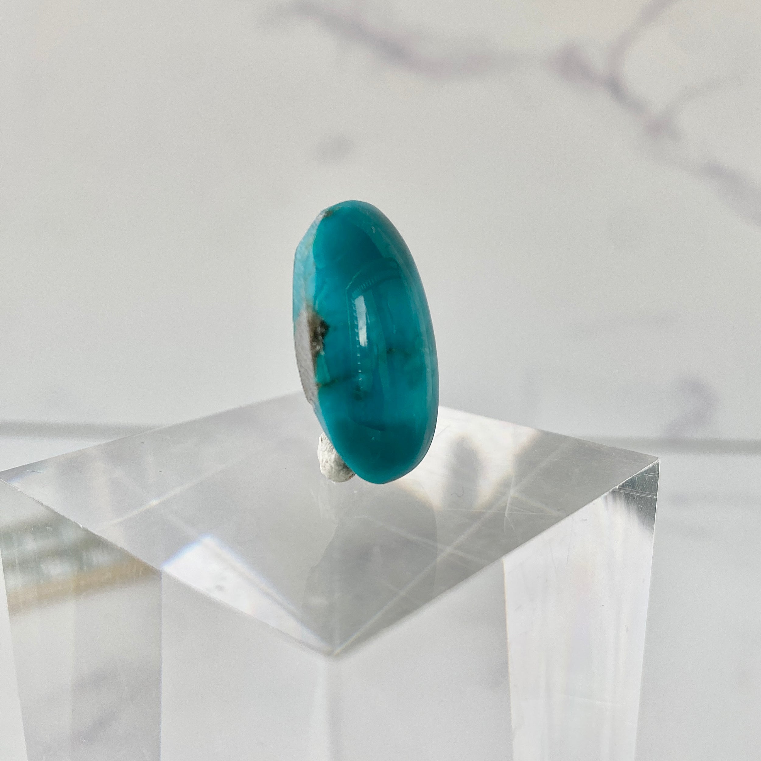 Türkis Cabochon - Detailansicht