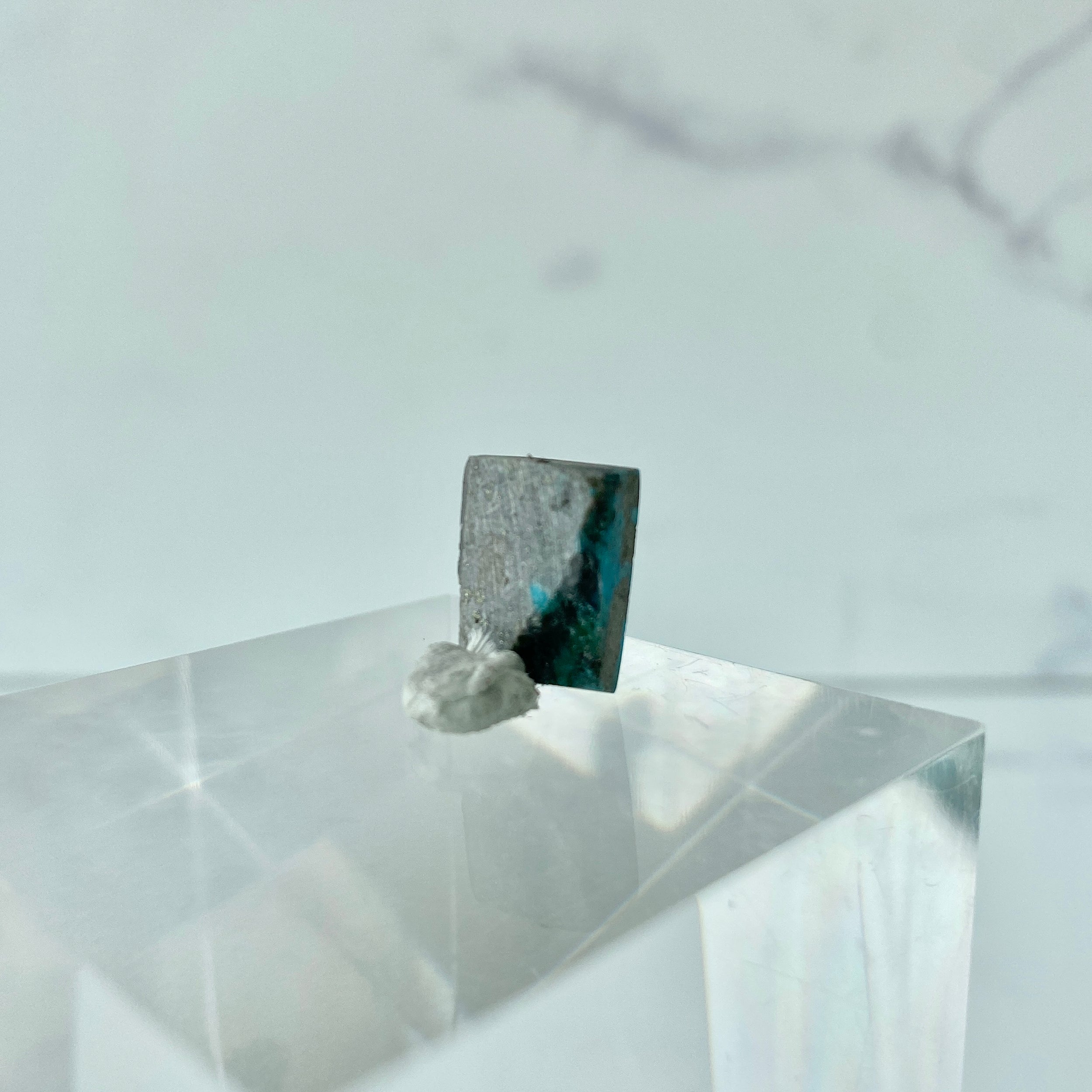 Türkis Cabochon - Fotoaufnahme