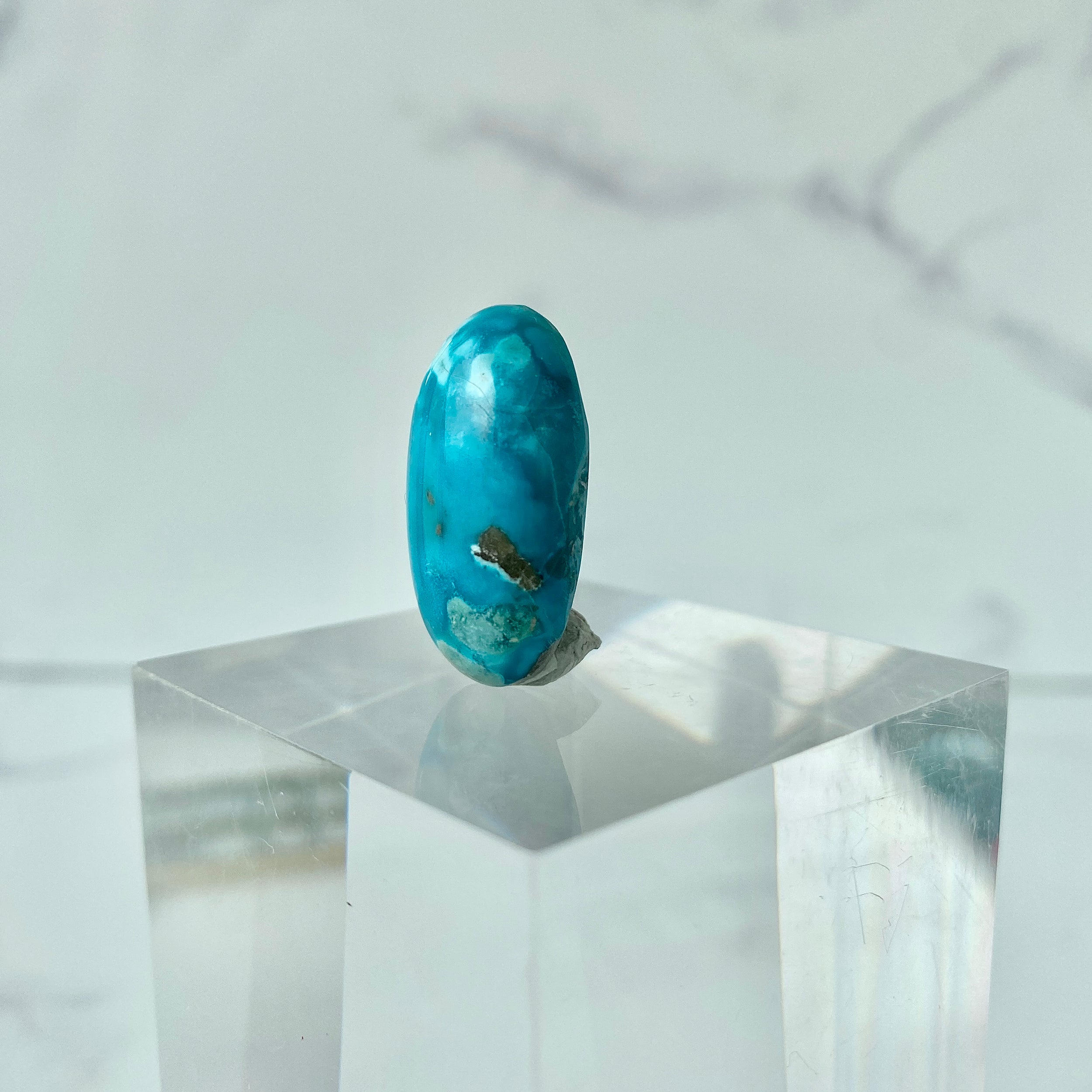 Türkis Cabochon - Studiofoto
