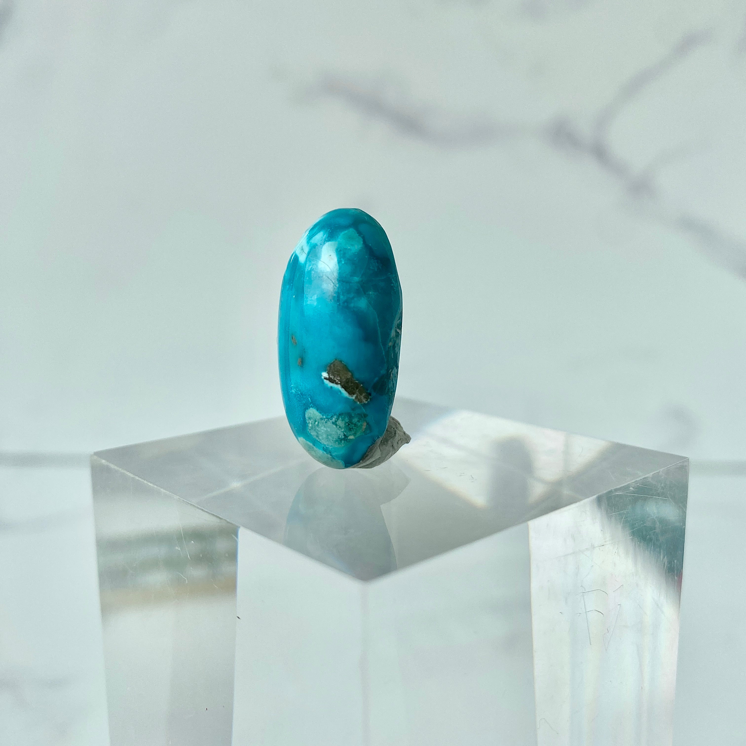 Türkis Cabochon - Studiofoto