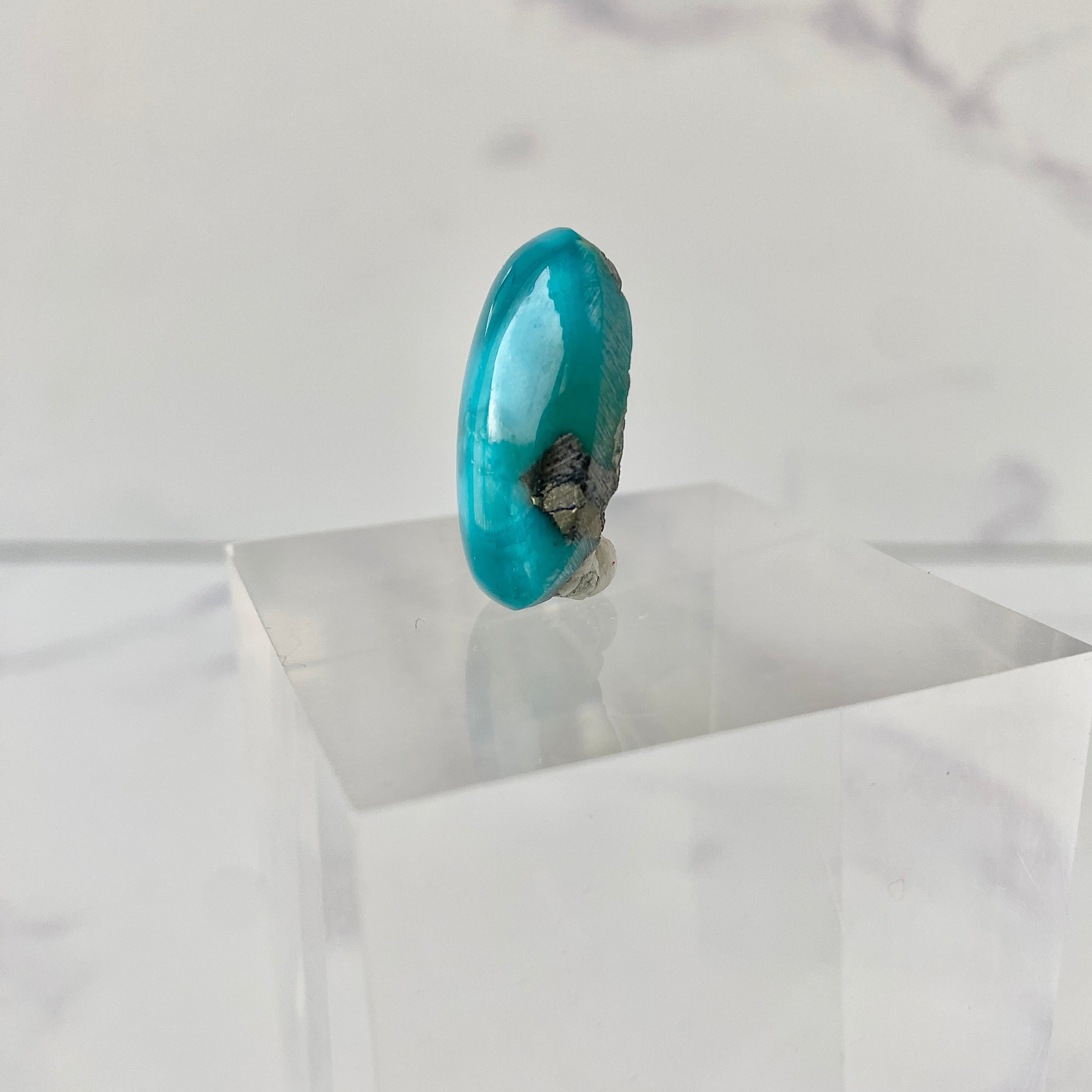 Türkis Cabochon - Studioaufnahme