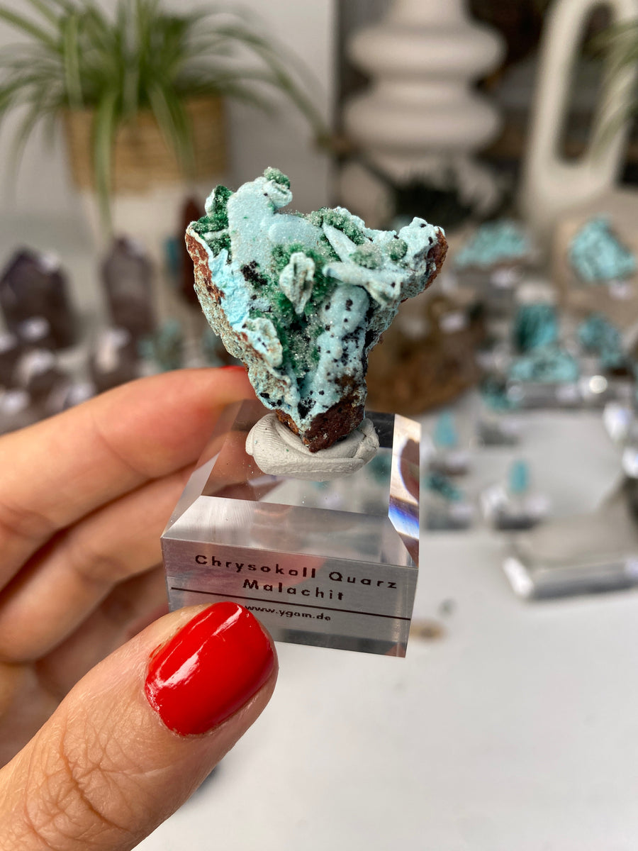 Chrysocoll Quarz mit Malachit aus DRK auf Acrylsockel