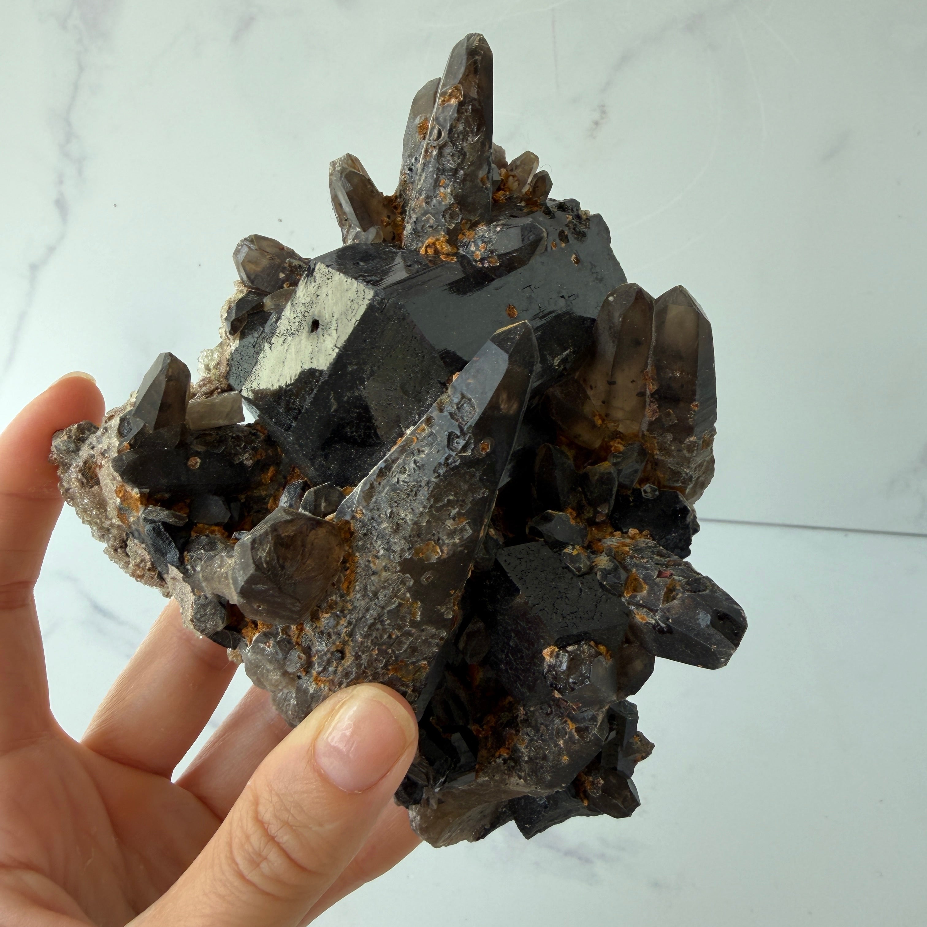 Schwarzer Turmalin Stufe (Schörl) mit Rauchquarzspitzen, Namibia