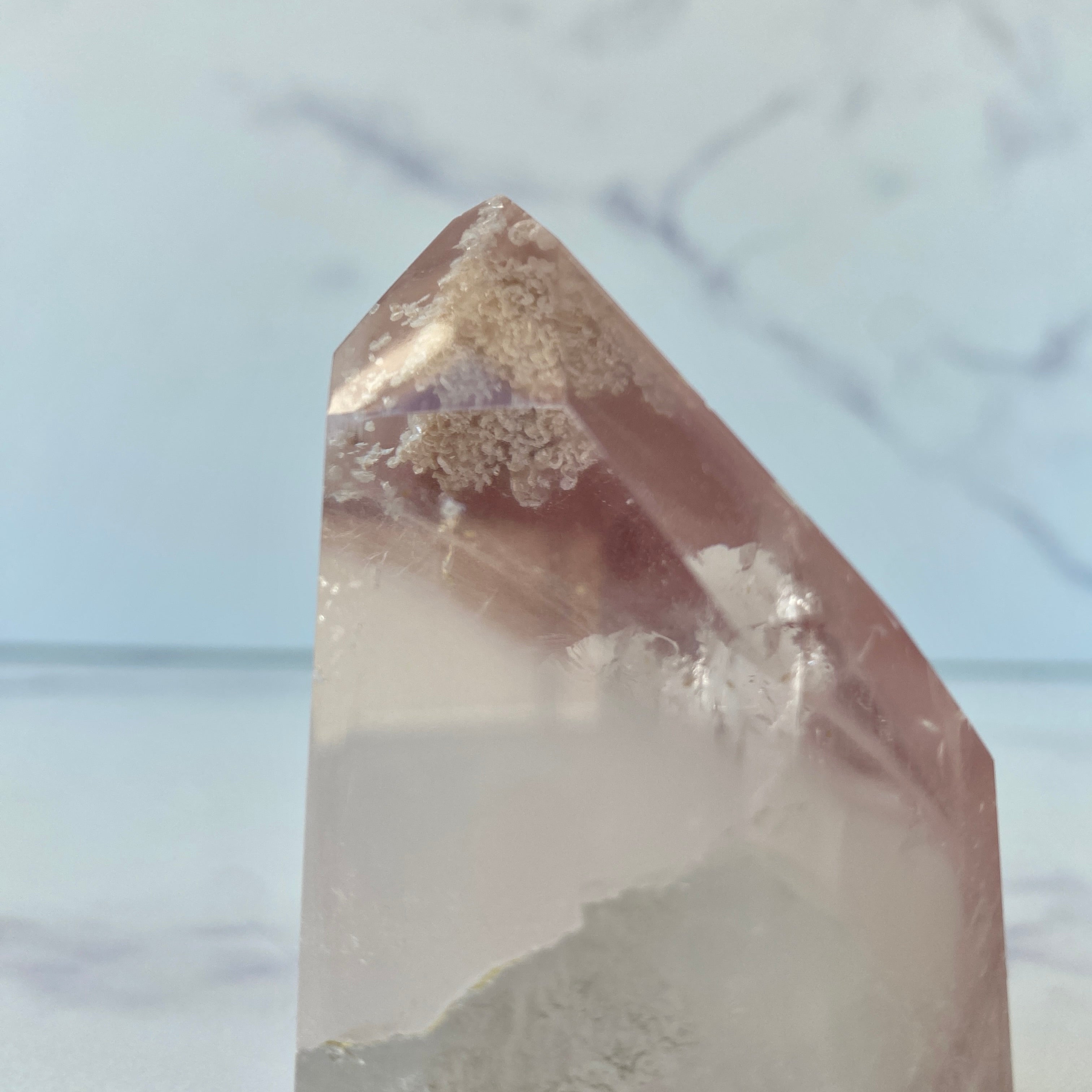 Pink Lithium Turm rich blossom