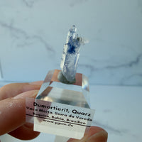 Dumortierit in Quarz kaufen