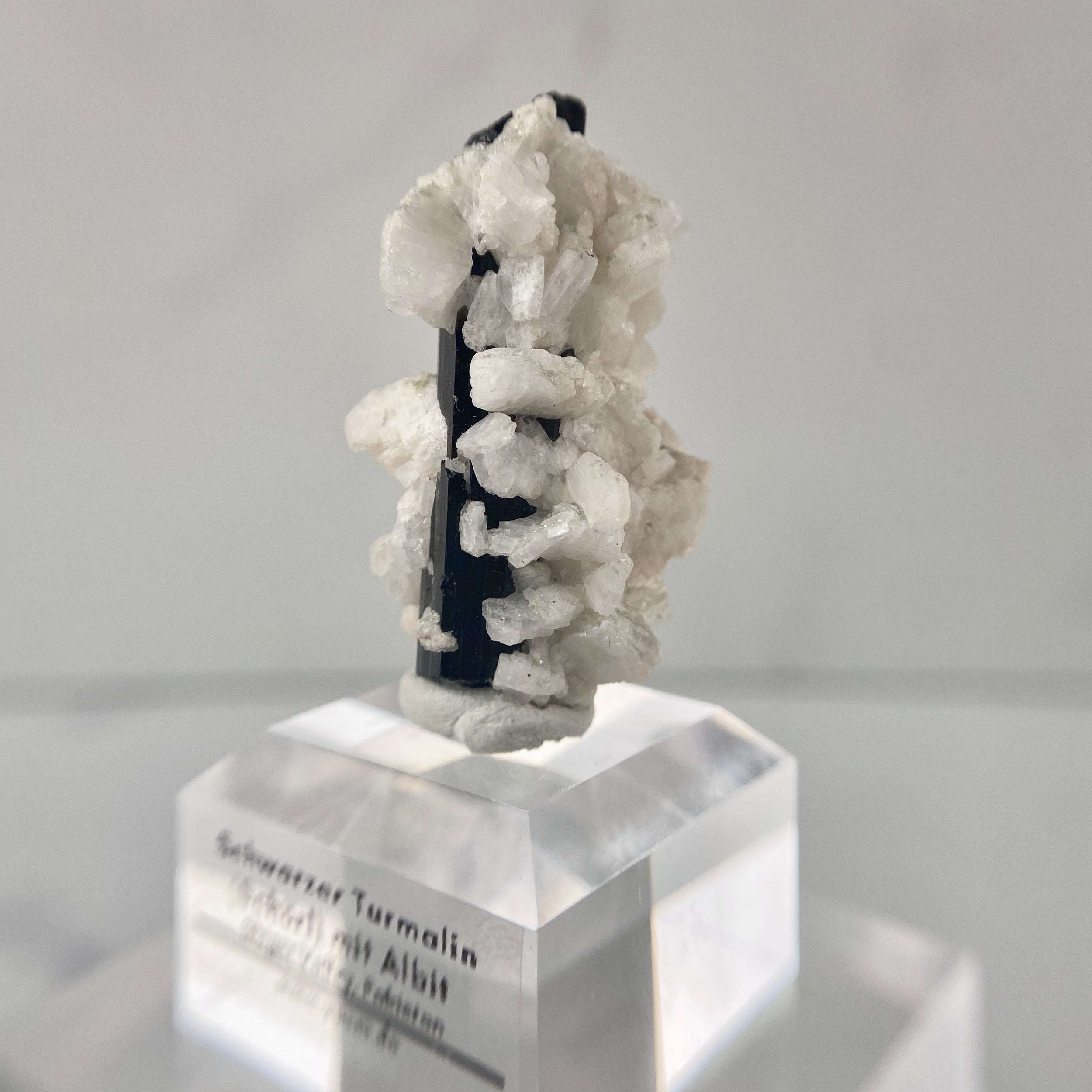 Schwarzer Turmalin (Schörl) mit Albit