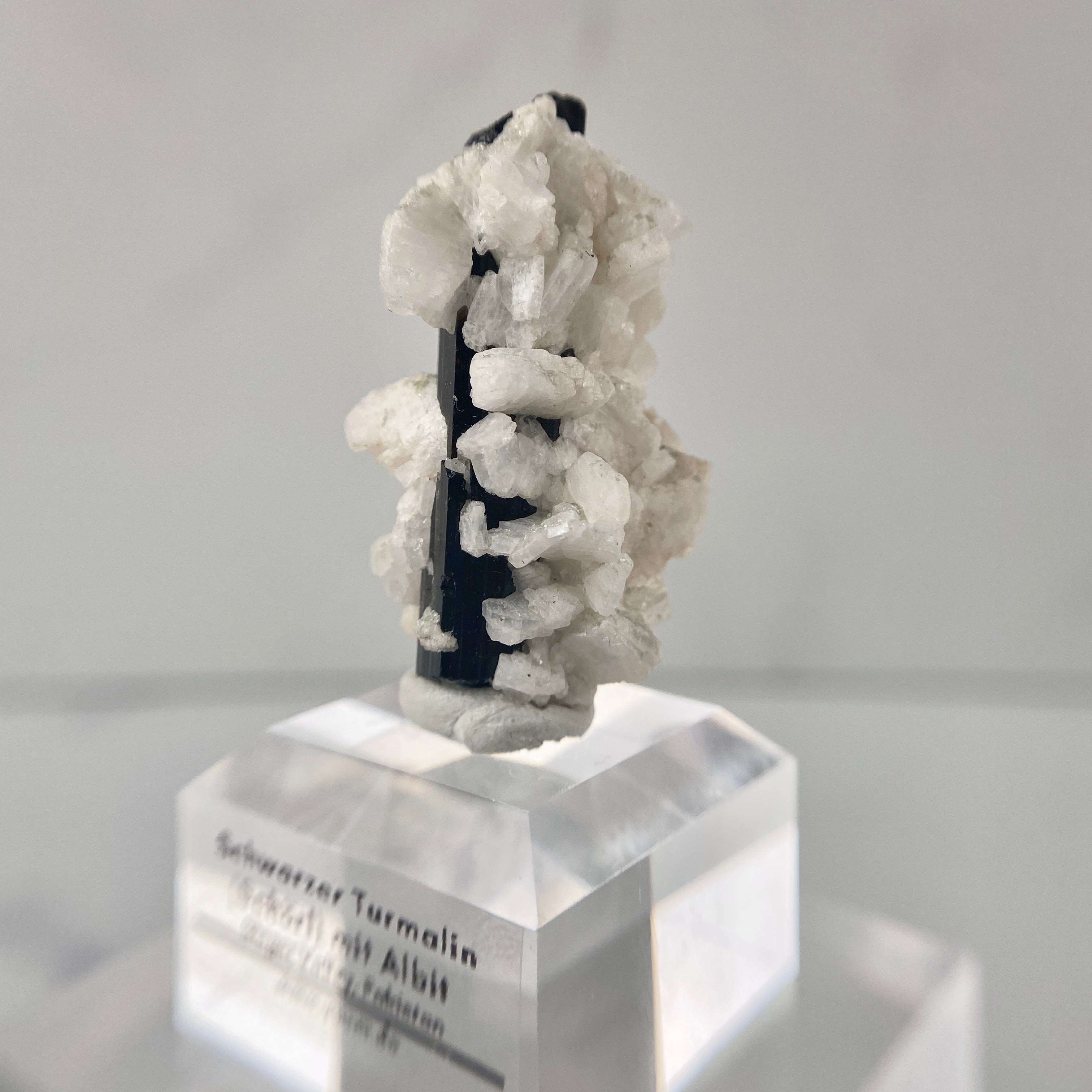 Schwarzer Turmalin (Schörl) mit Albit