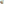 
        Kundalini Citrin, Einzelstück, Naturspitze
      