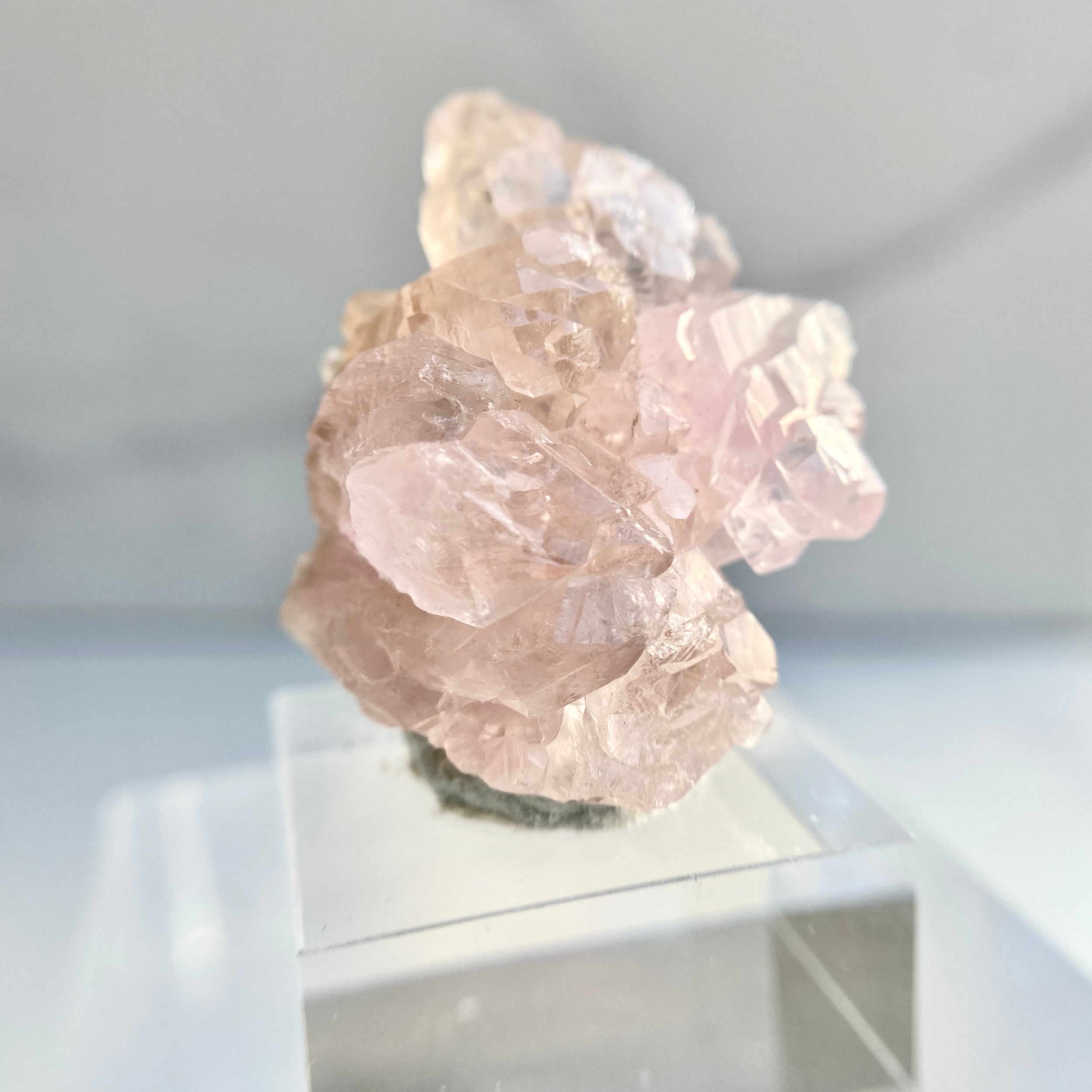 Canga Rosa mit Sockel