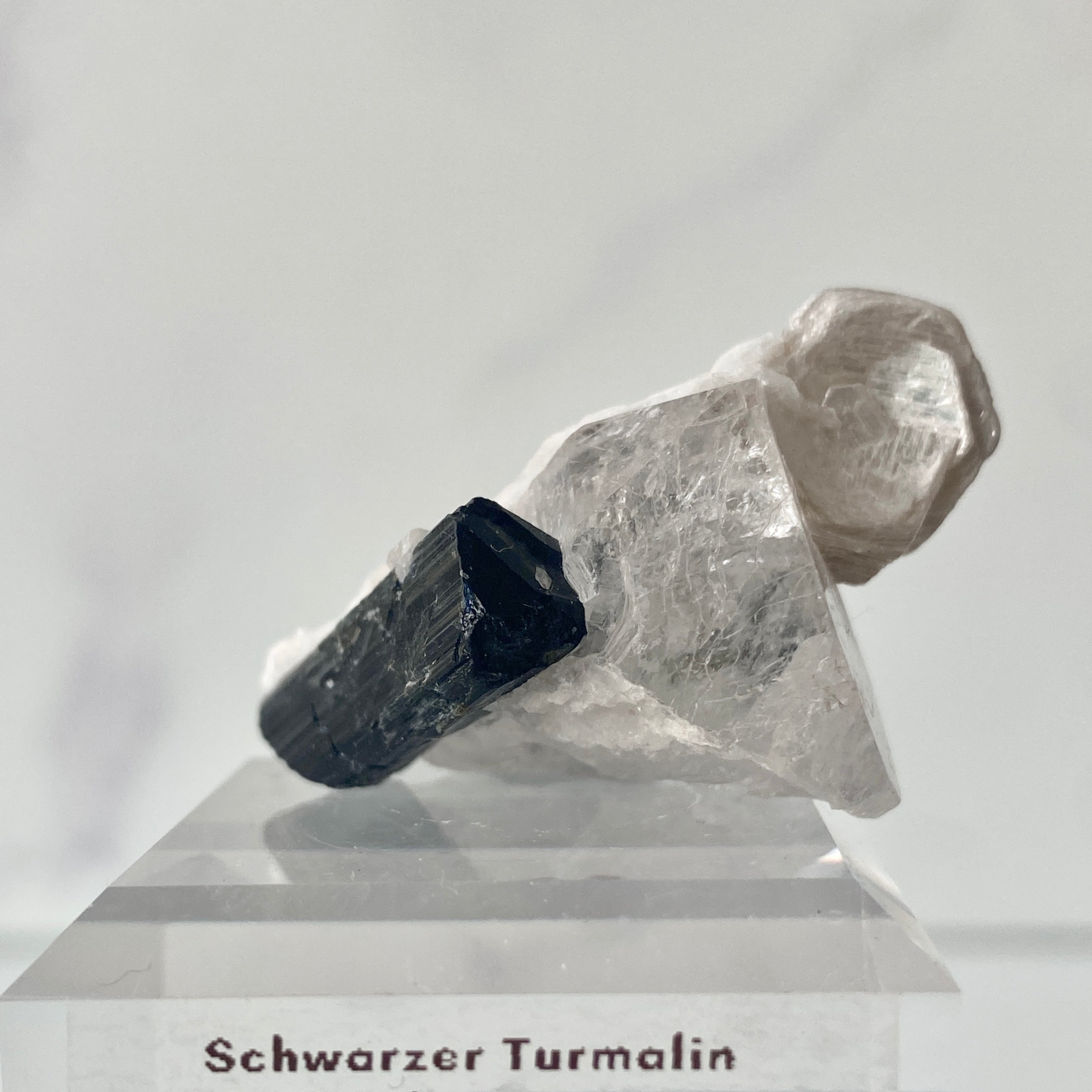 Schwarzer Turmalin (Schörl) mit Quarz, Albit & Glimmer auf Podest