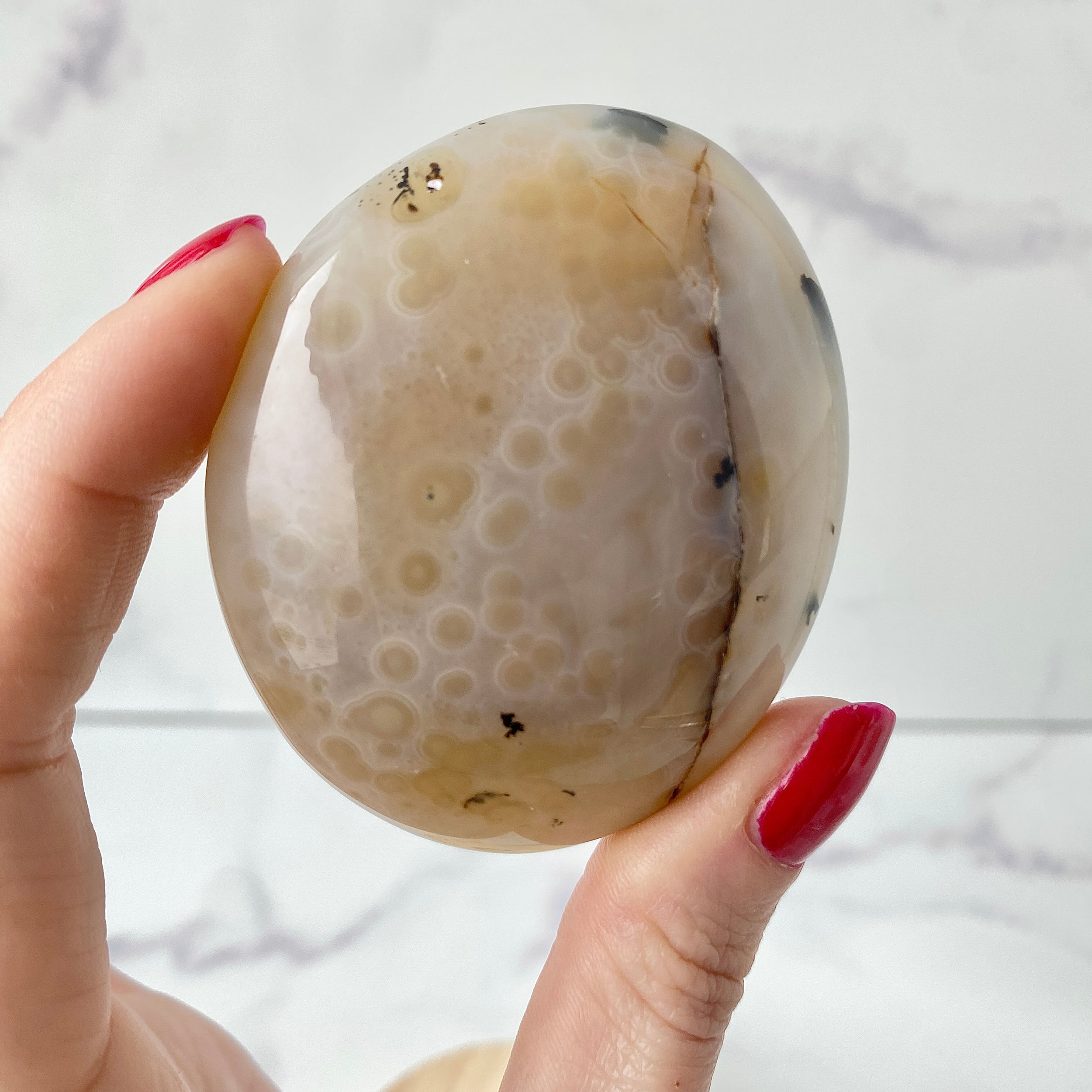 Dendritic Opal Handstein