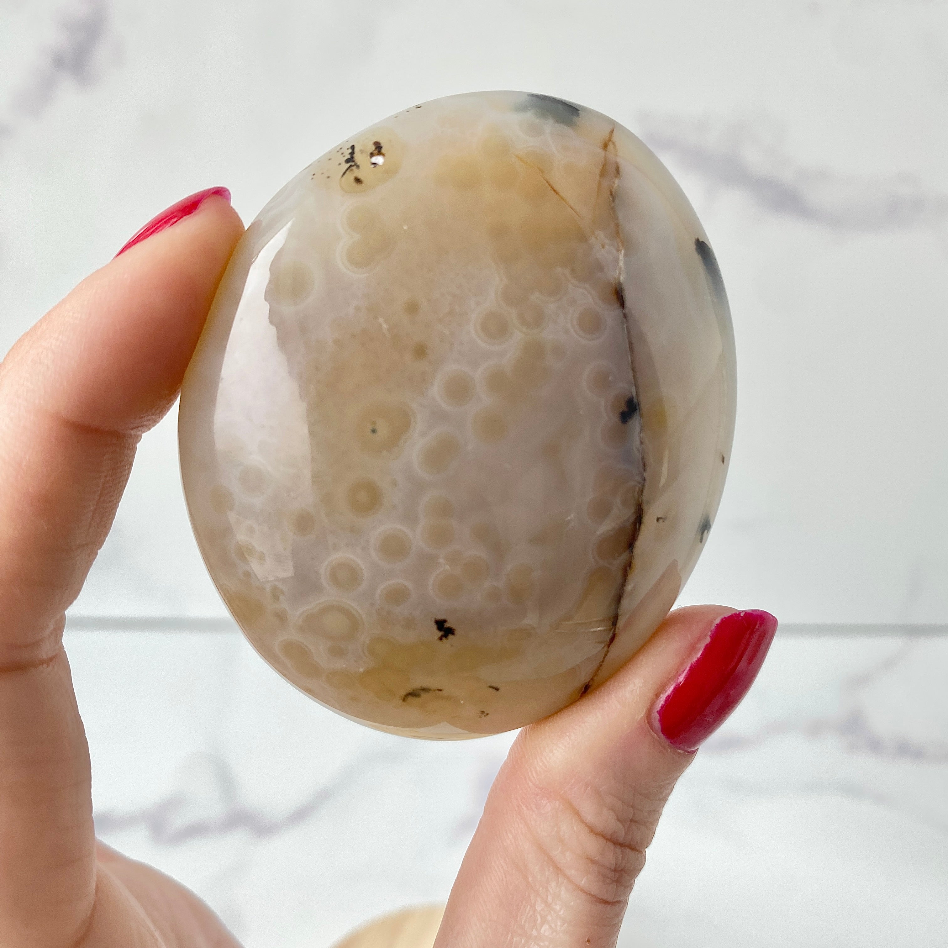 Dendritic Opal Handstein