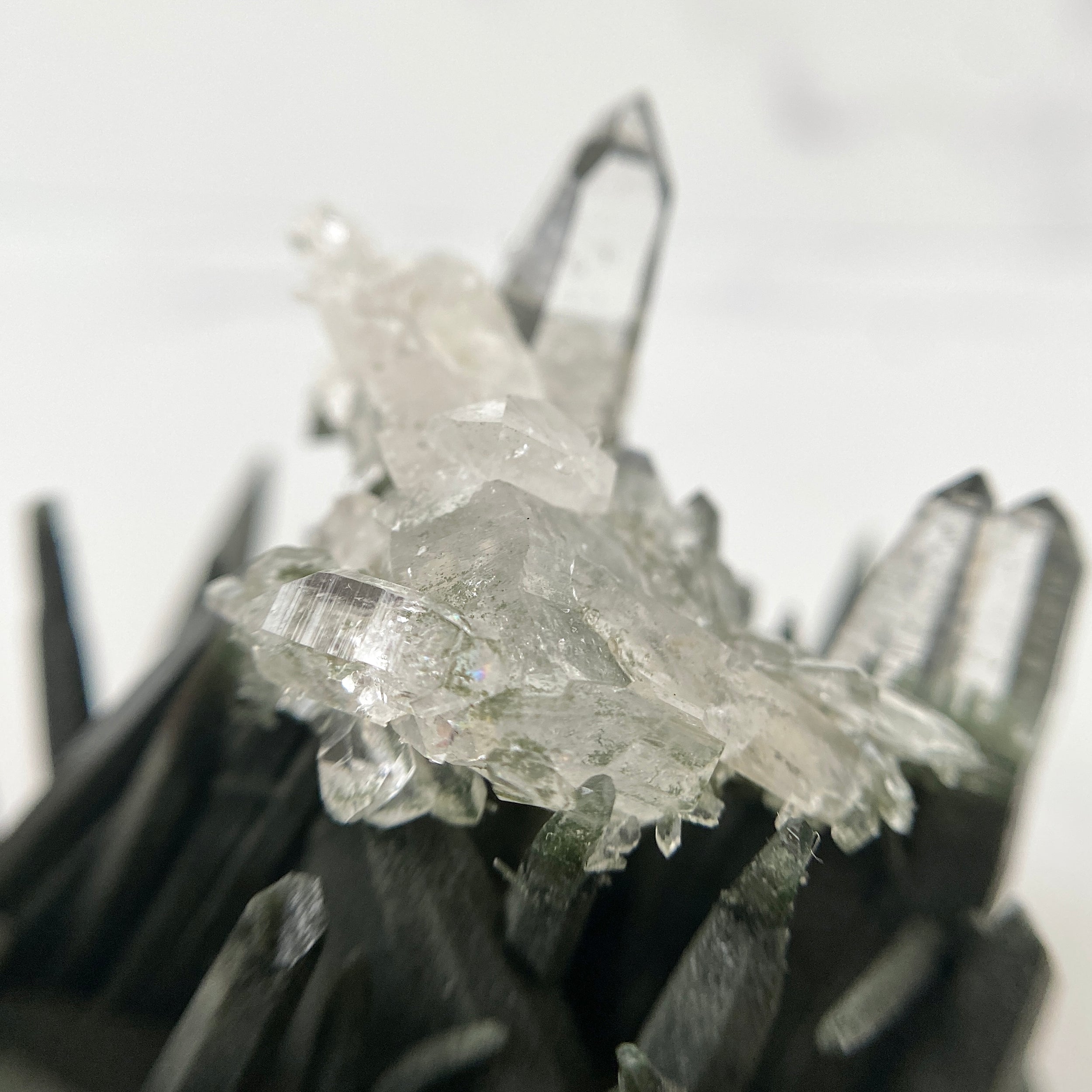 Selten - Himalaya (Nepal) Bergkristall Stufe mit Chlorit