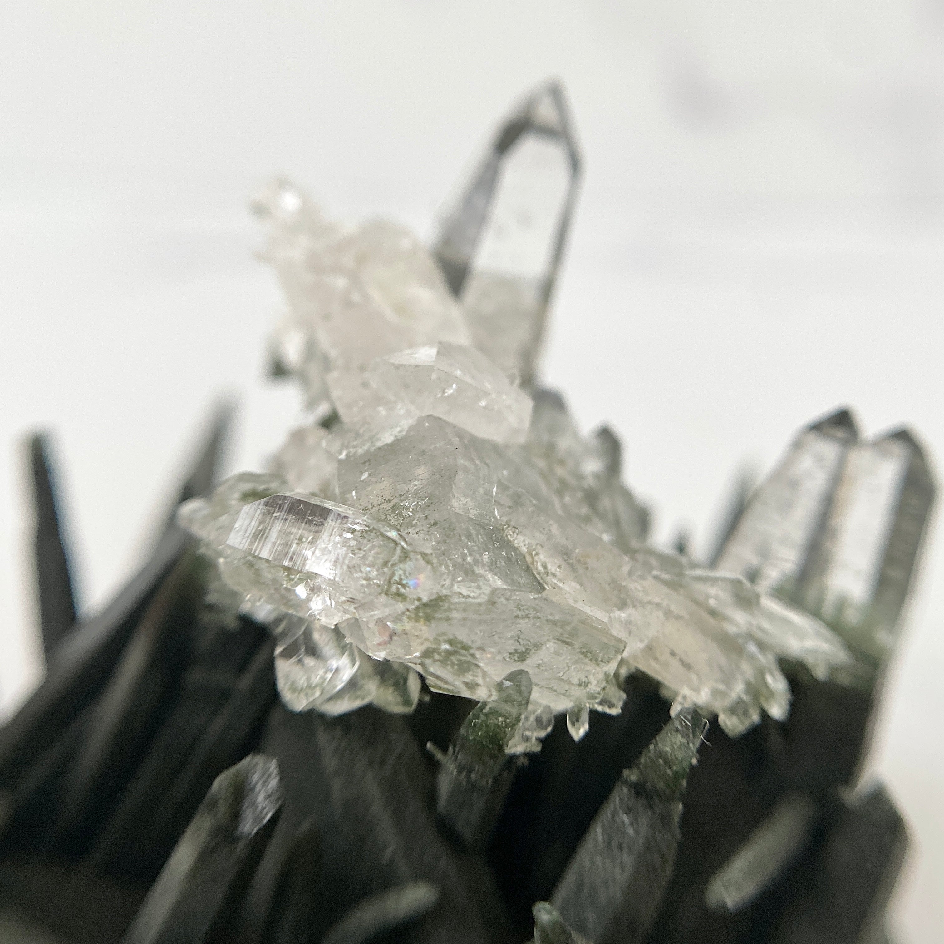 Selten - Himalaya (Nepal) Bergkristall Stufe mit Chlorit
