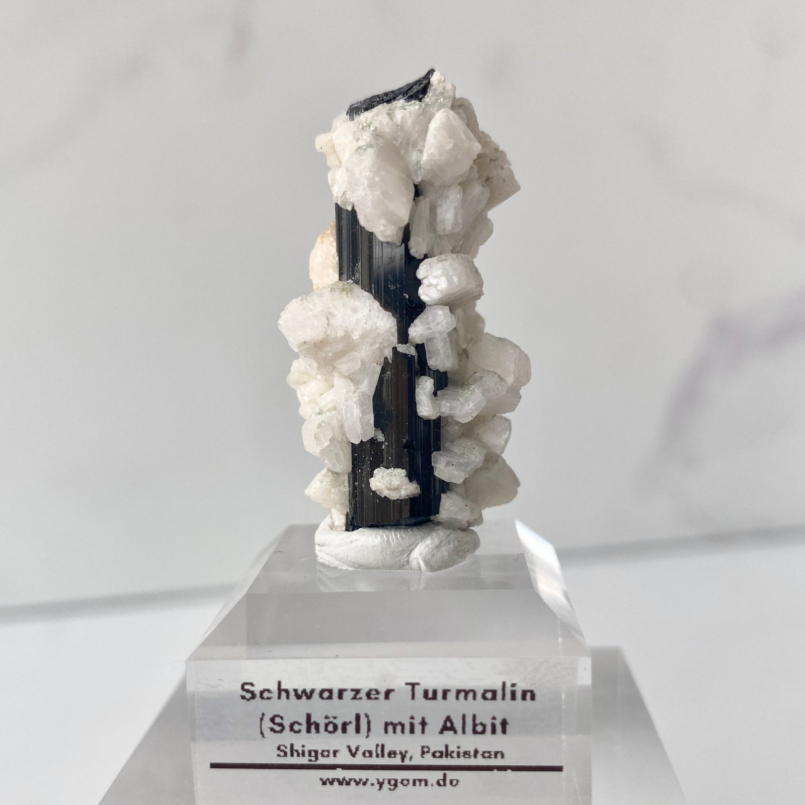 Schwarzer Turmalin (Schörl) mit Albit