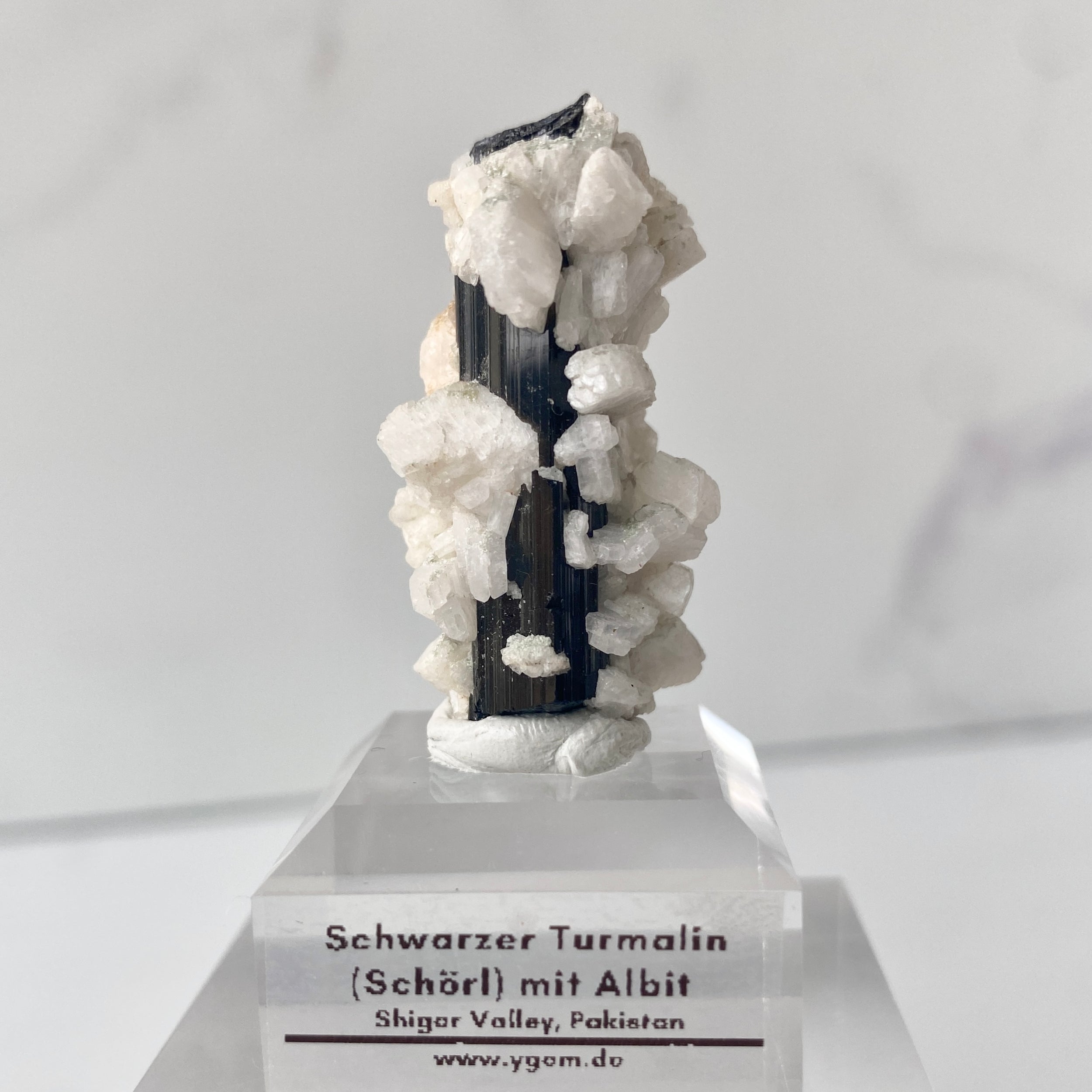 Schwarzer Turmalin (Schörl) mit Albit