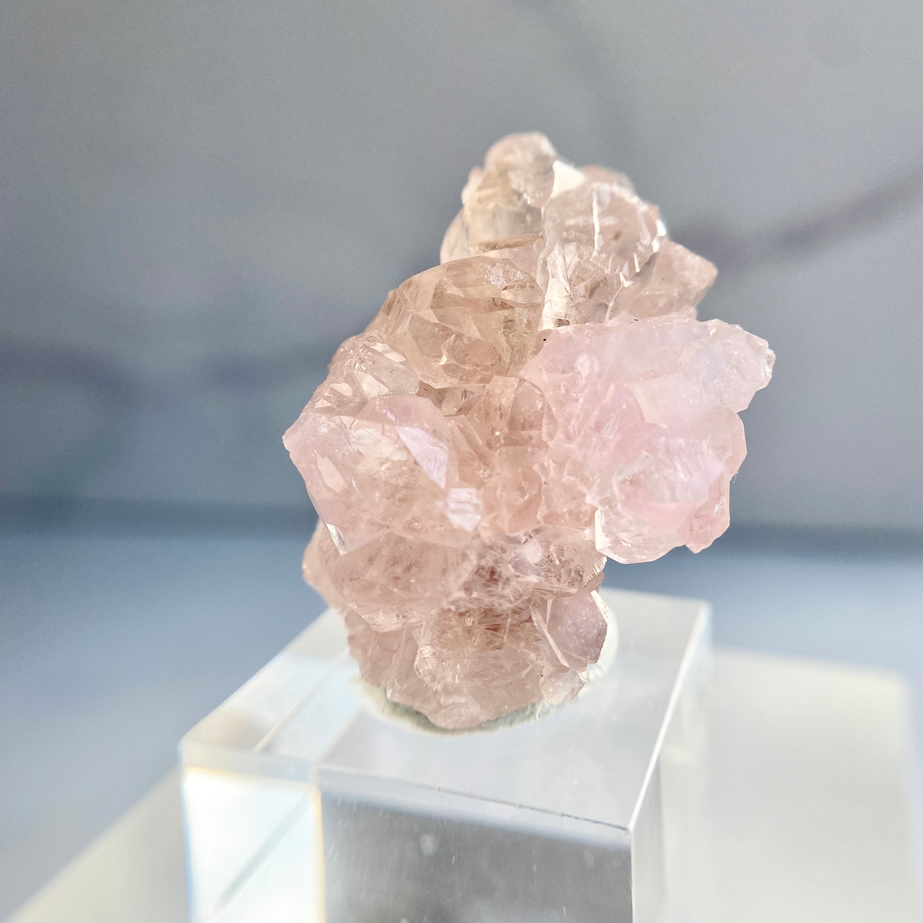 Canga Rosa mit Sockel