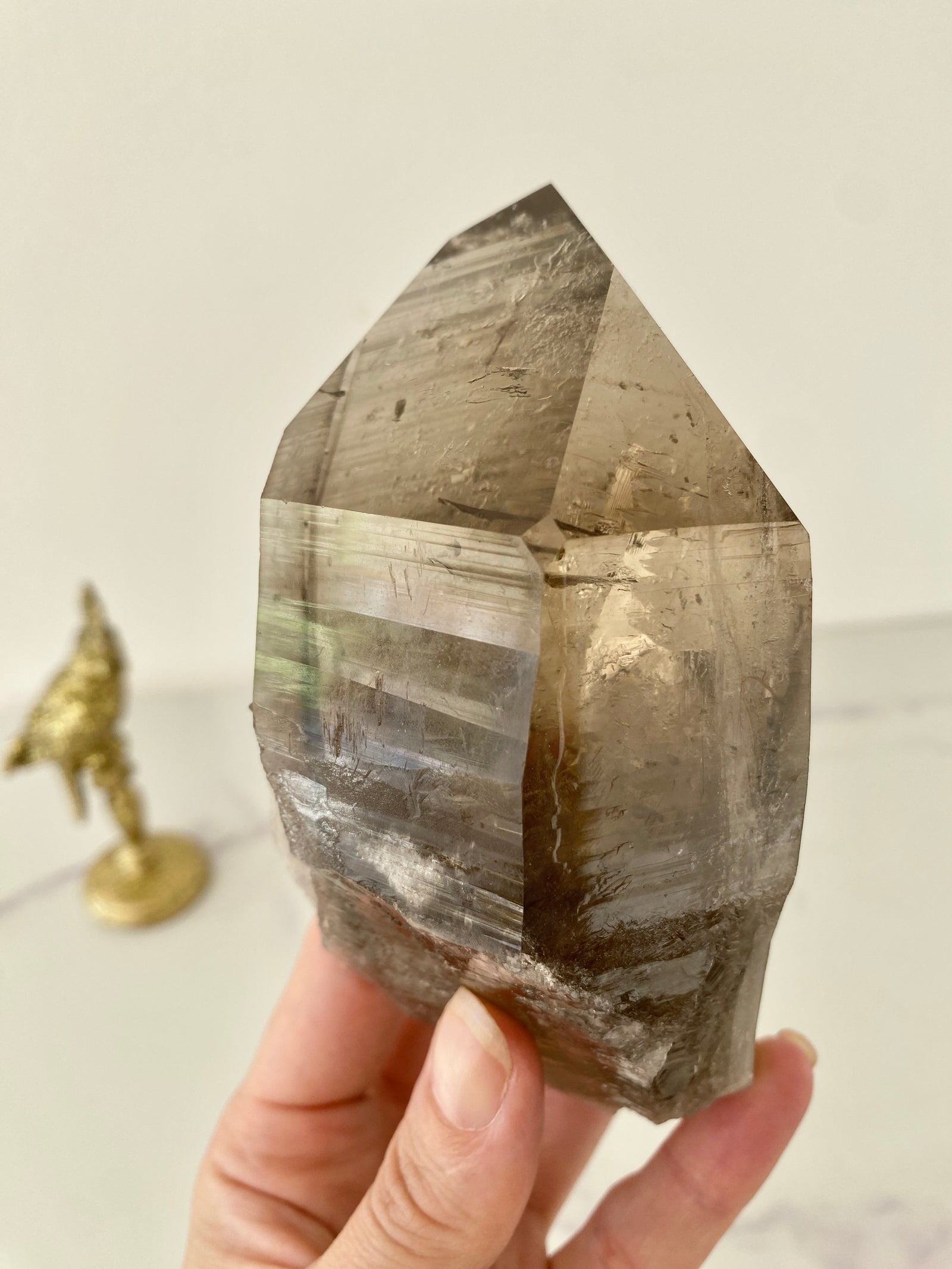 Bicolor Smoky Lemurian Naturspitze