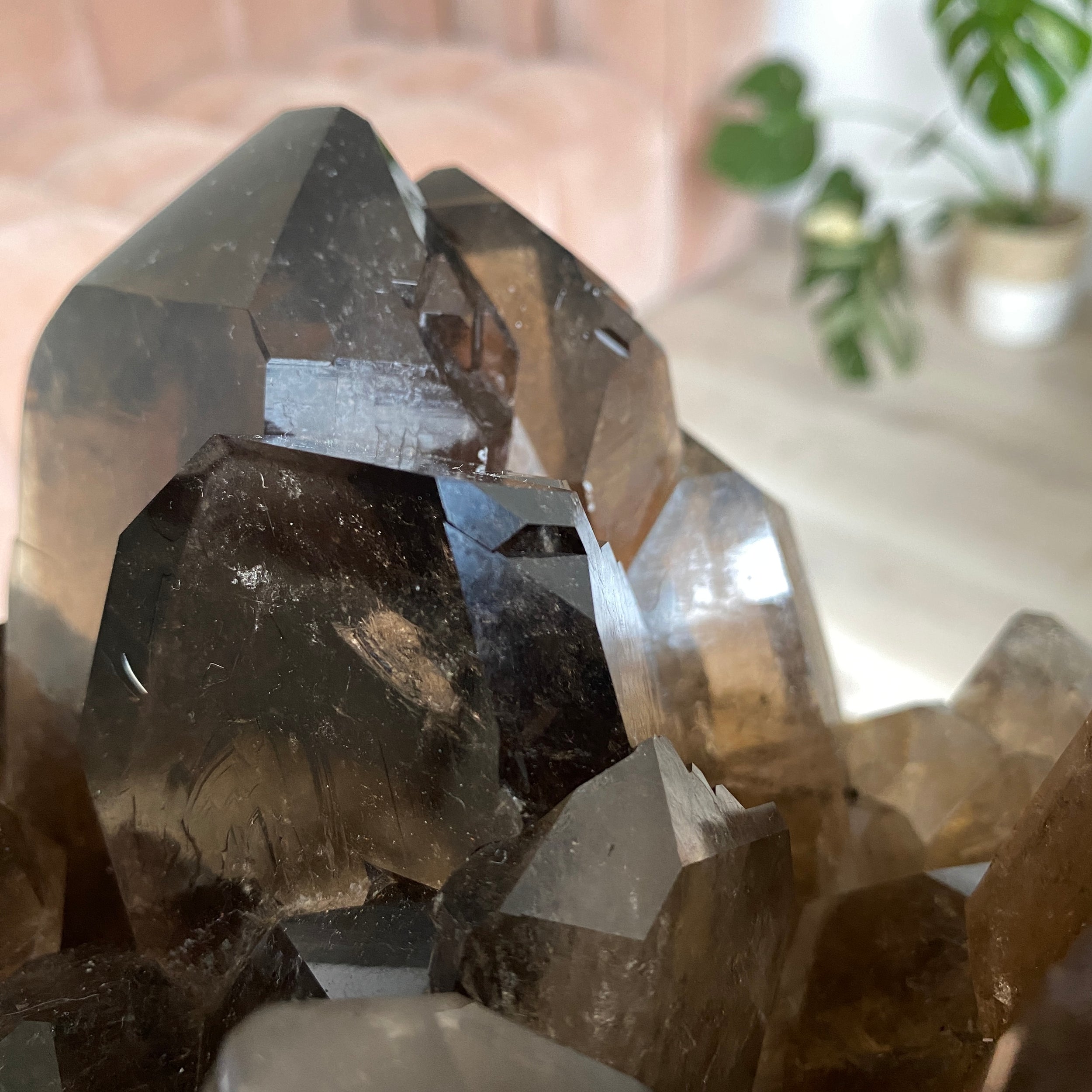 XL Rauchquarz Stufe, Rauchquarz Cluster