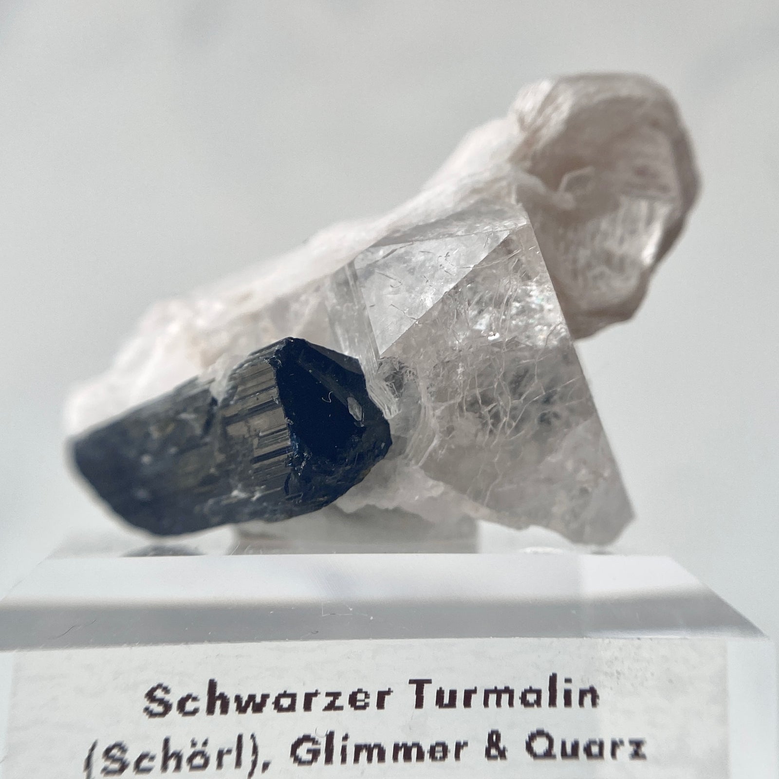Schwarzer Turmalin (Schörl) mit Quarz, Albit & Glimmer auf Podest