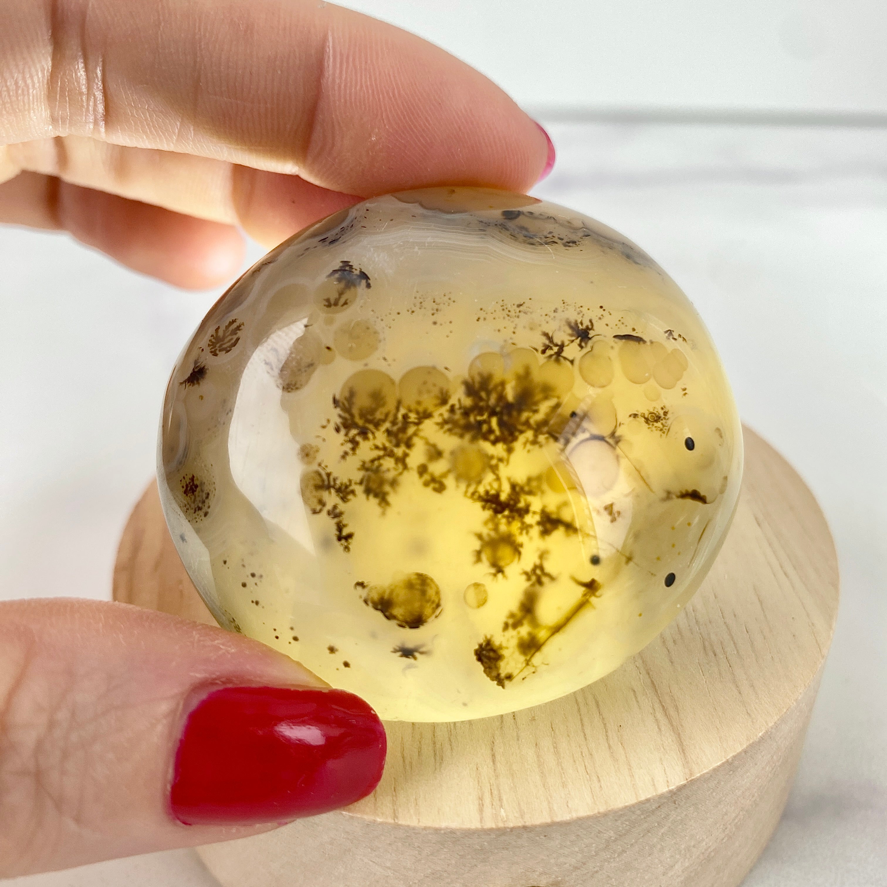 Dendritic Opal Handstein