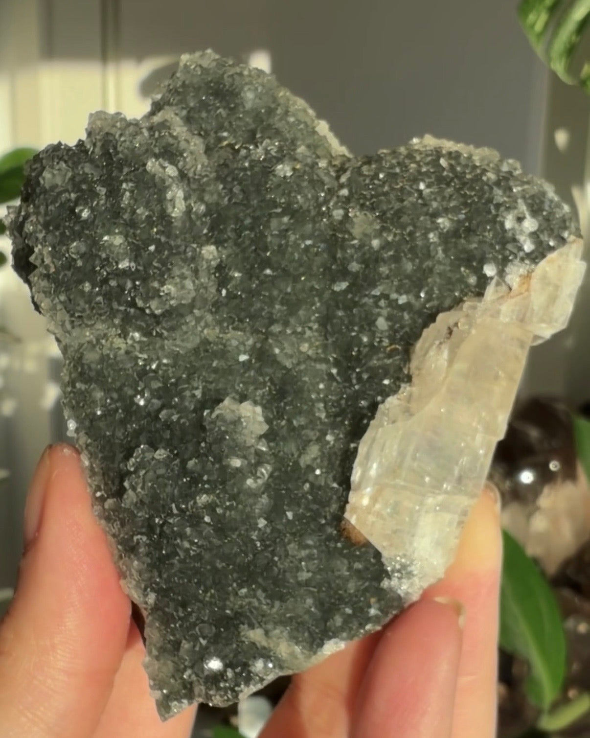 Grüner Amethyst für xpoisonxivyx