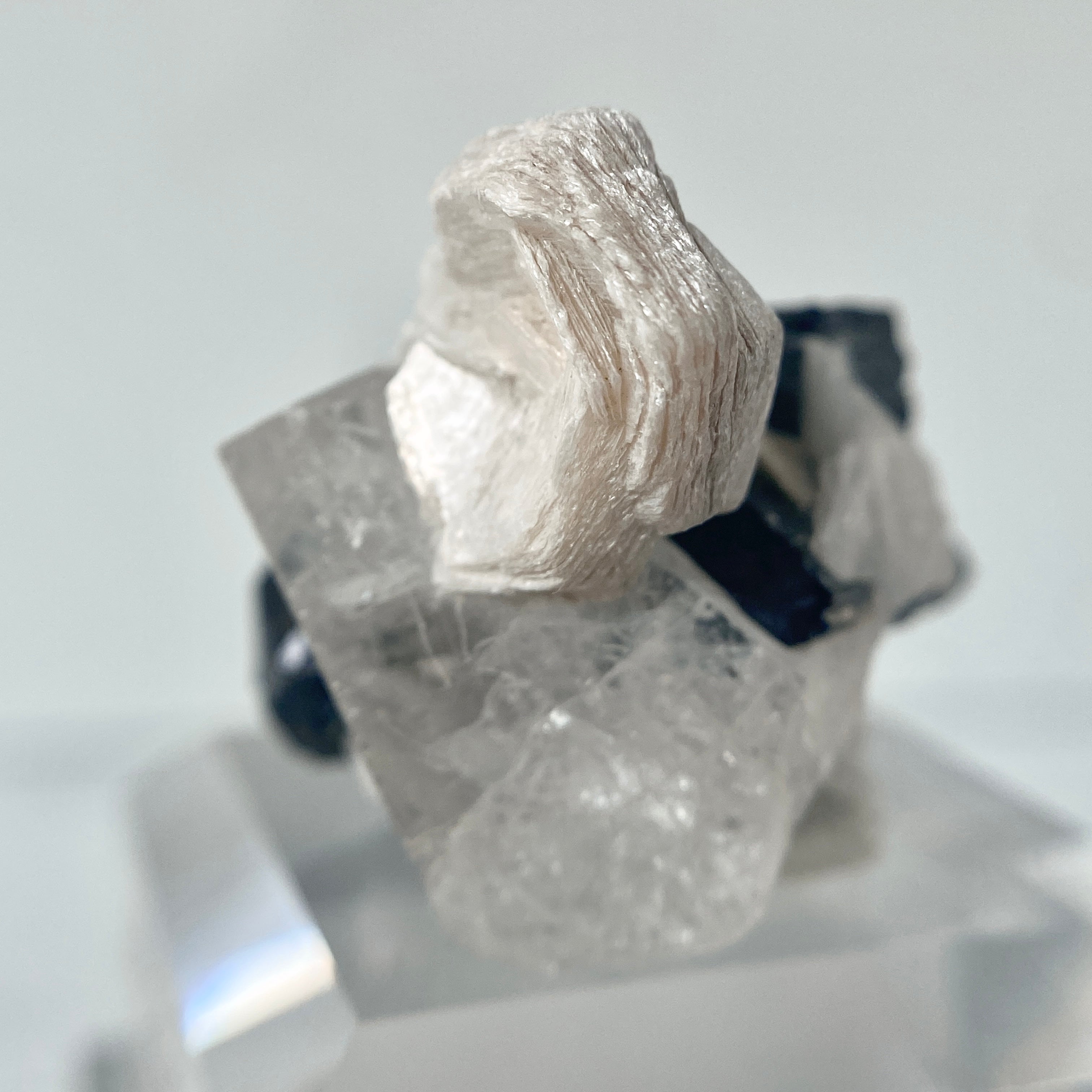 Schwarzer Turmalin (Schörl) mit Quarz, Albit & Glimmer auf Podest