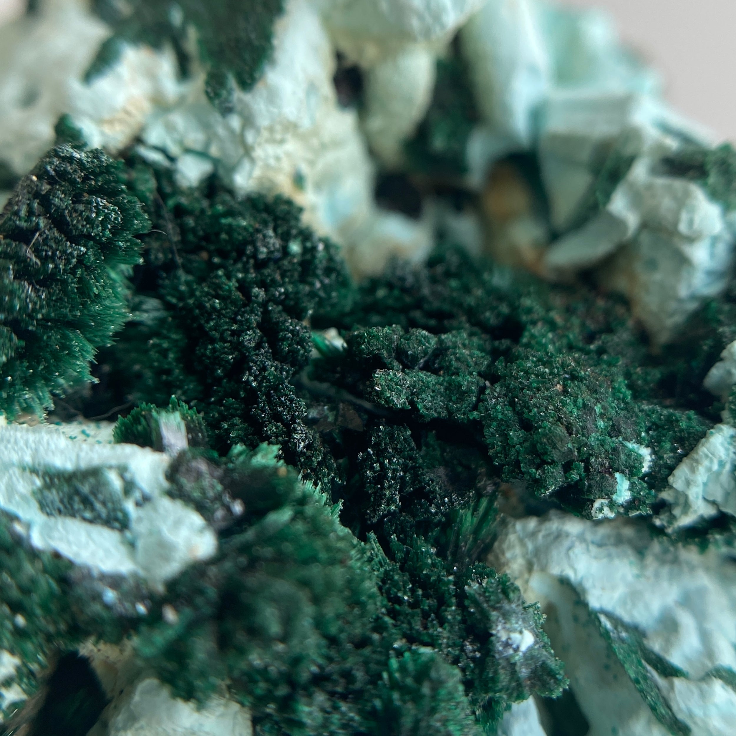 Rosettenförmiger Malachit aus DR Congo mit Mikroquarz auf Chrysokoll