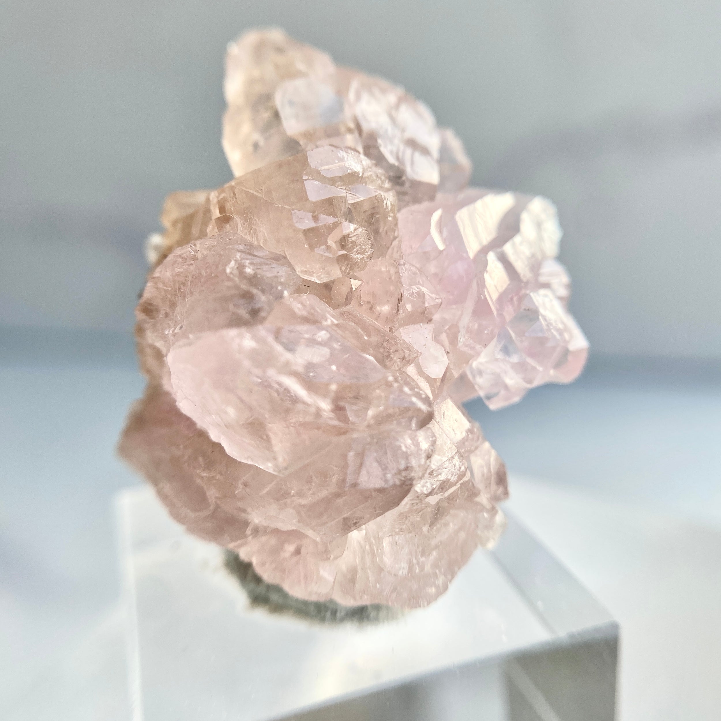 Canga Rosa mit Sockel