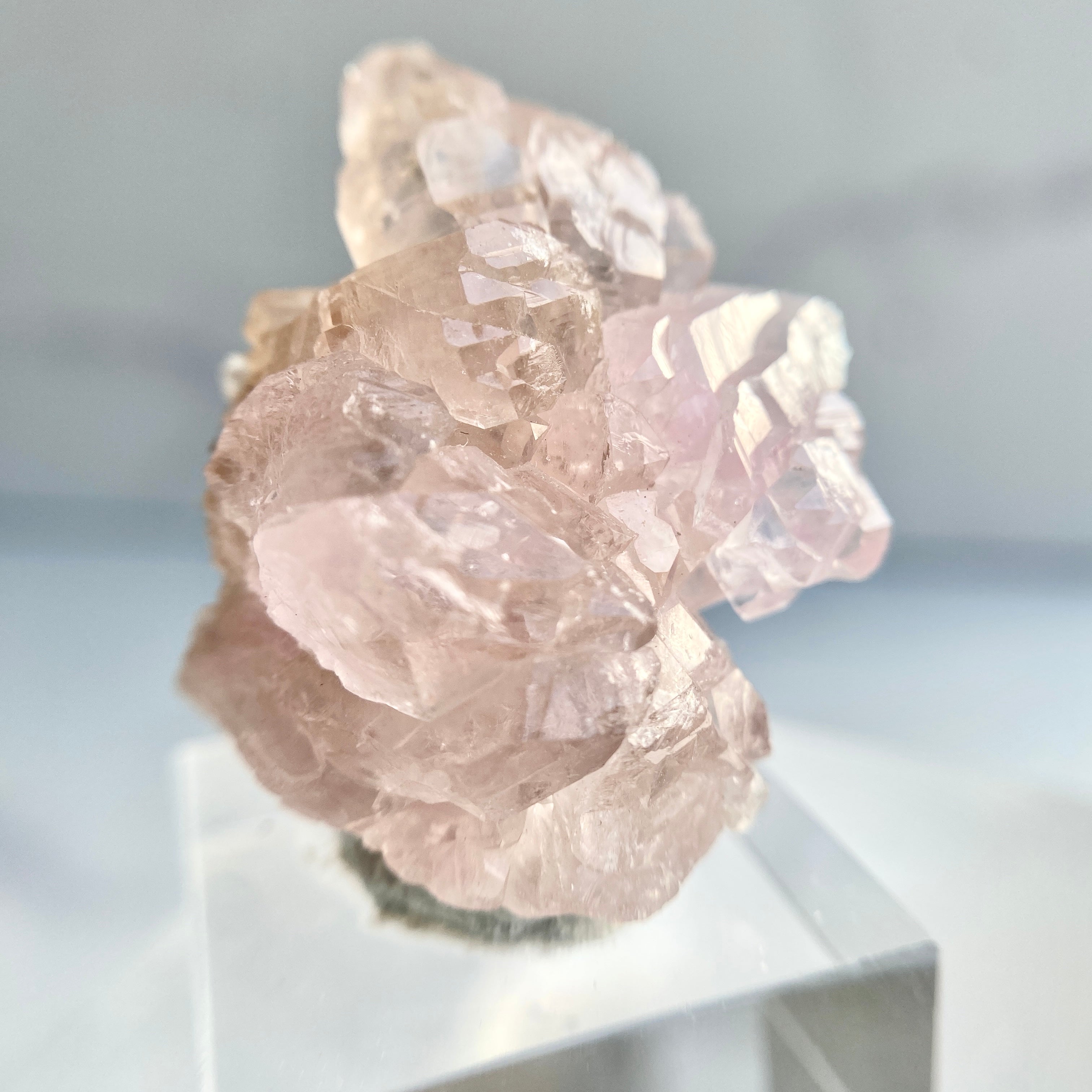 Canga Rosa mit Sockel