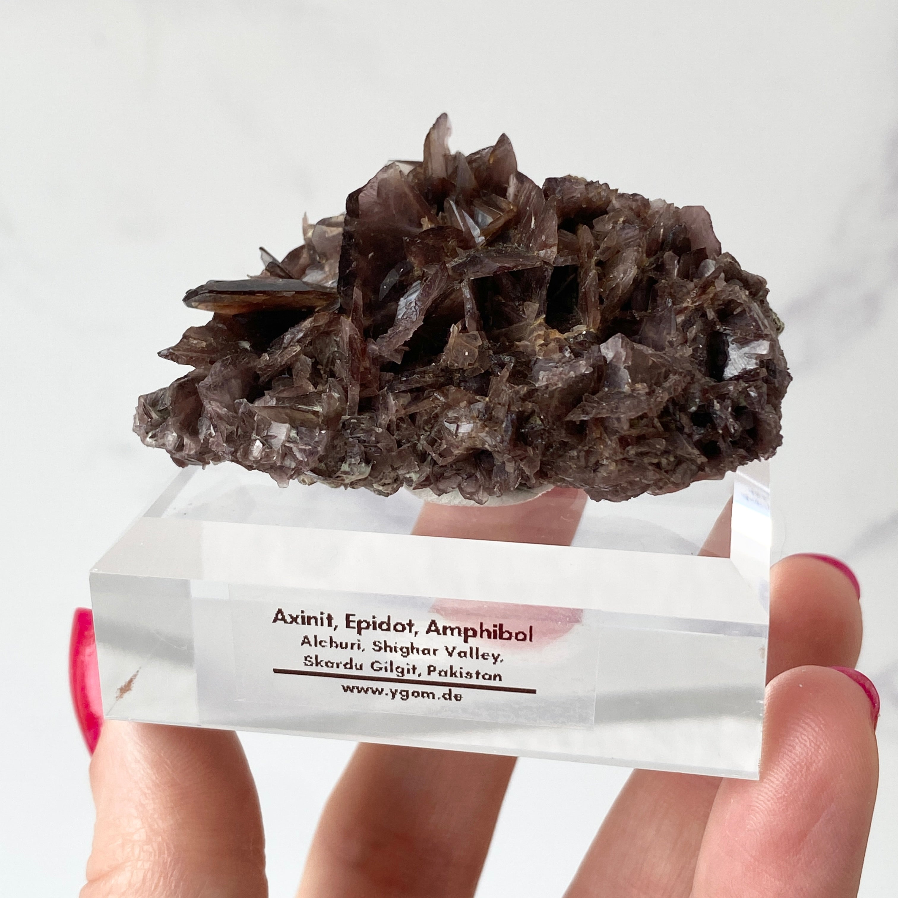 Acrylsockel 60x40x20 mm, klar, rechteckig, schräge Kante