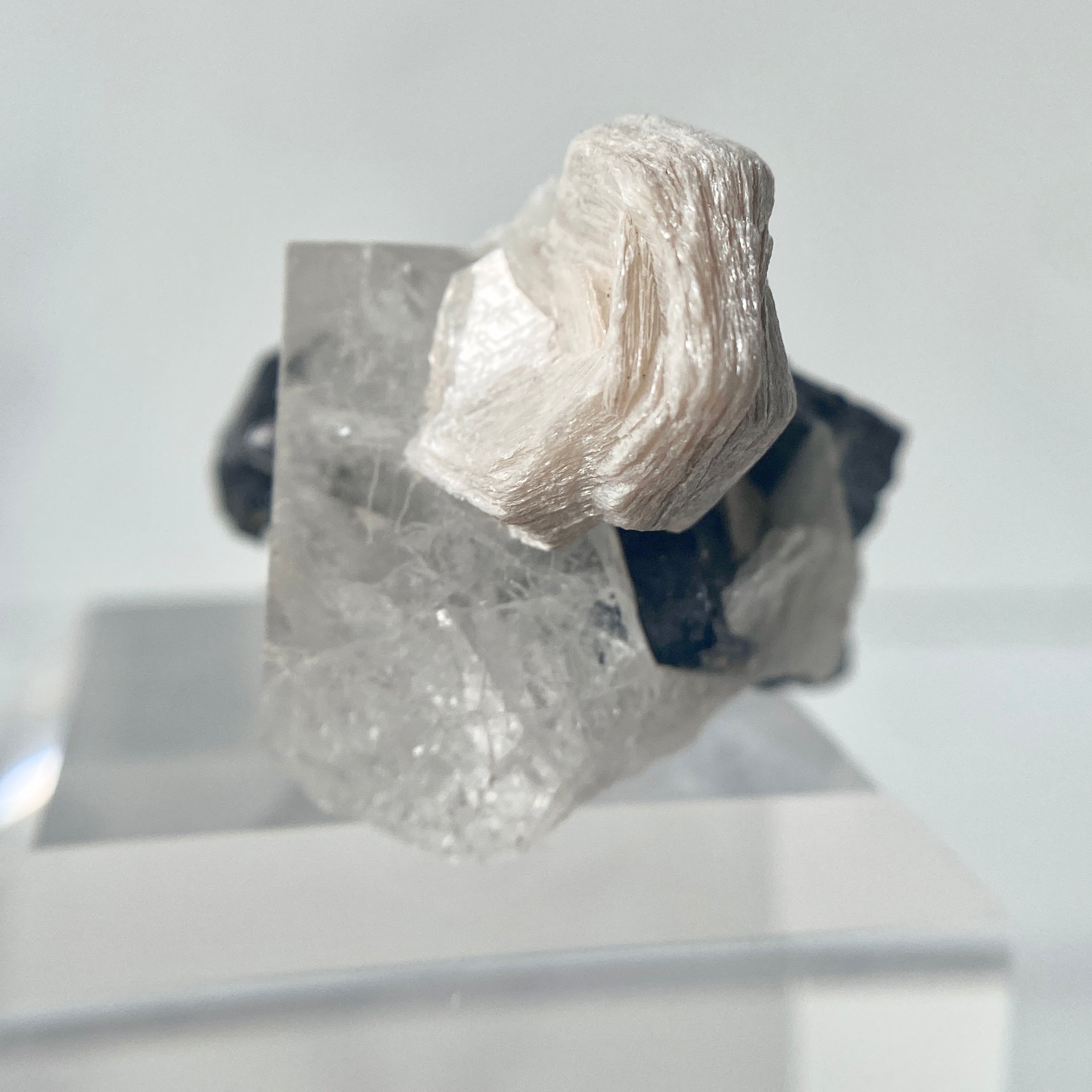 Schwarzer Turmalin (Schörl) mit Quarz, Albit & Glimmer auf Podest