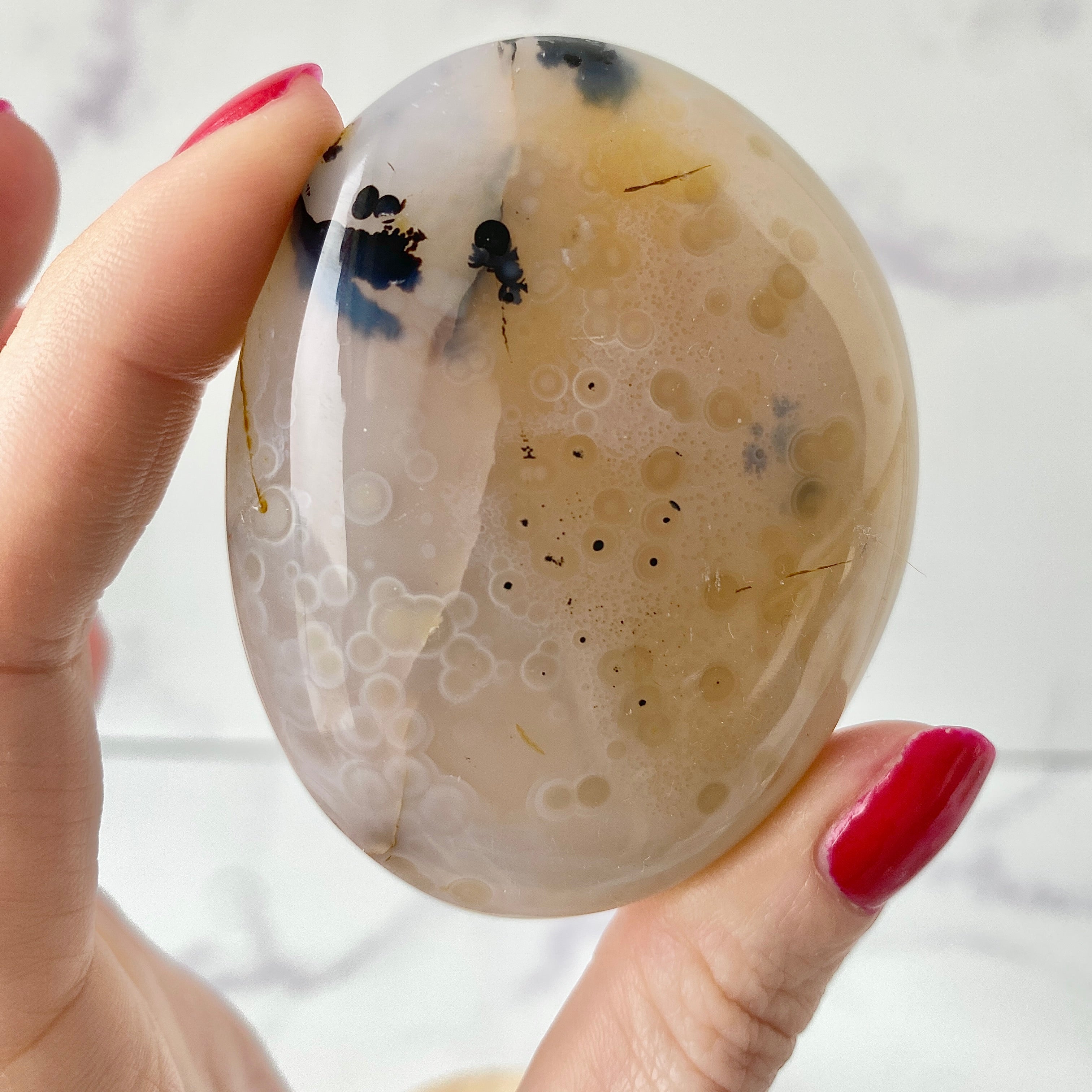 Dendritic Opal Handstein