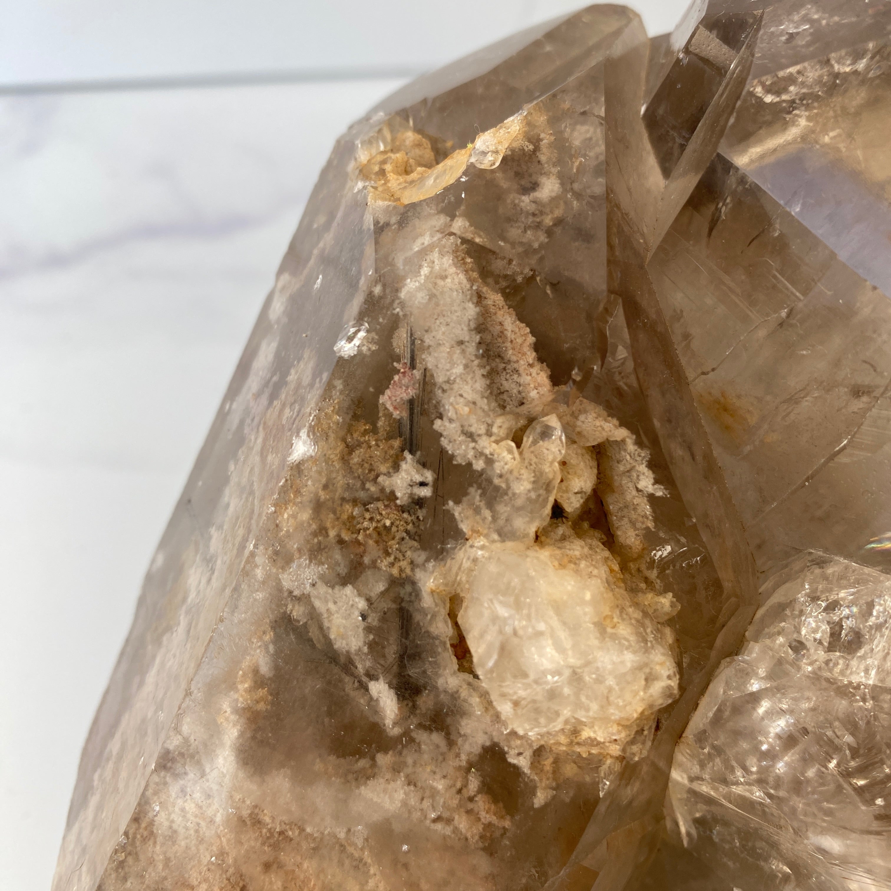 XL Rauchquarz Lodolith Rutil Cluster