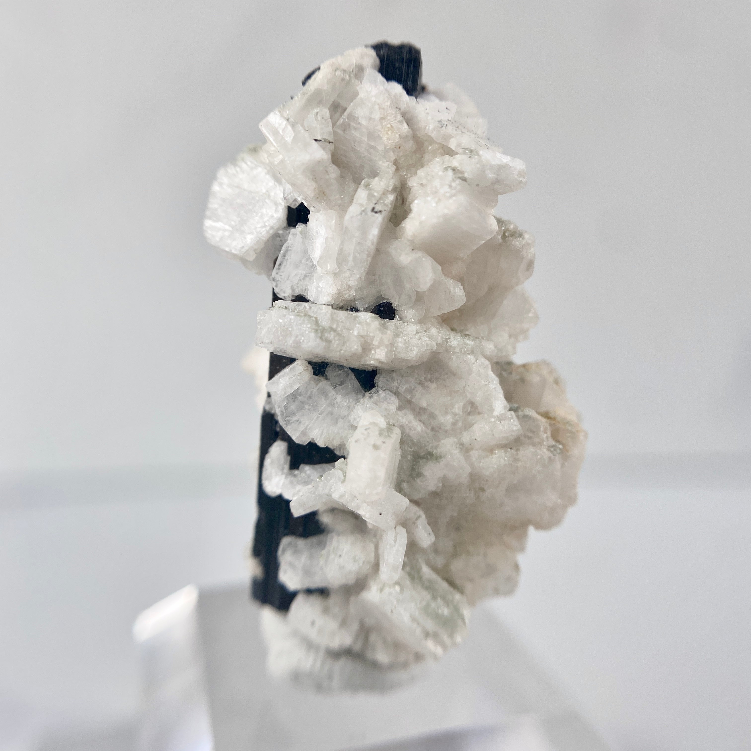 Schwarzer Turmalin (Schörl) mit Albit