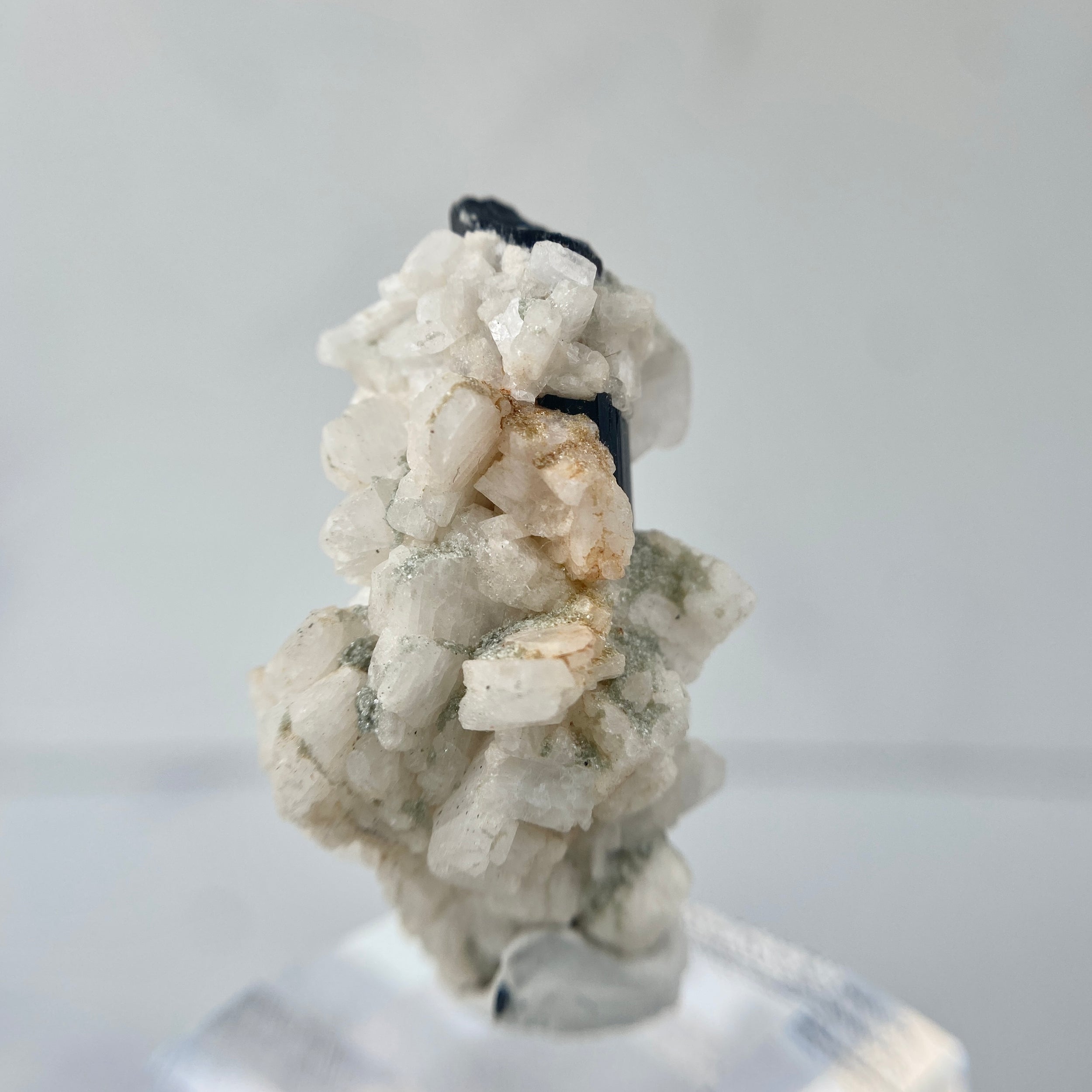 Schwarzer Turmalin (Schörl) mit Albit