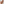 
        drei Polychrom Jaspis Handschmeichler auf der Hand
      