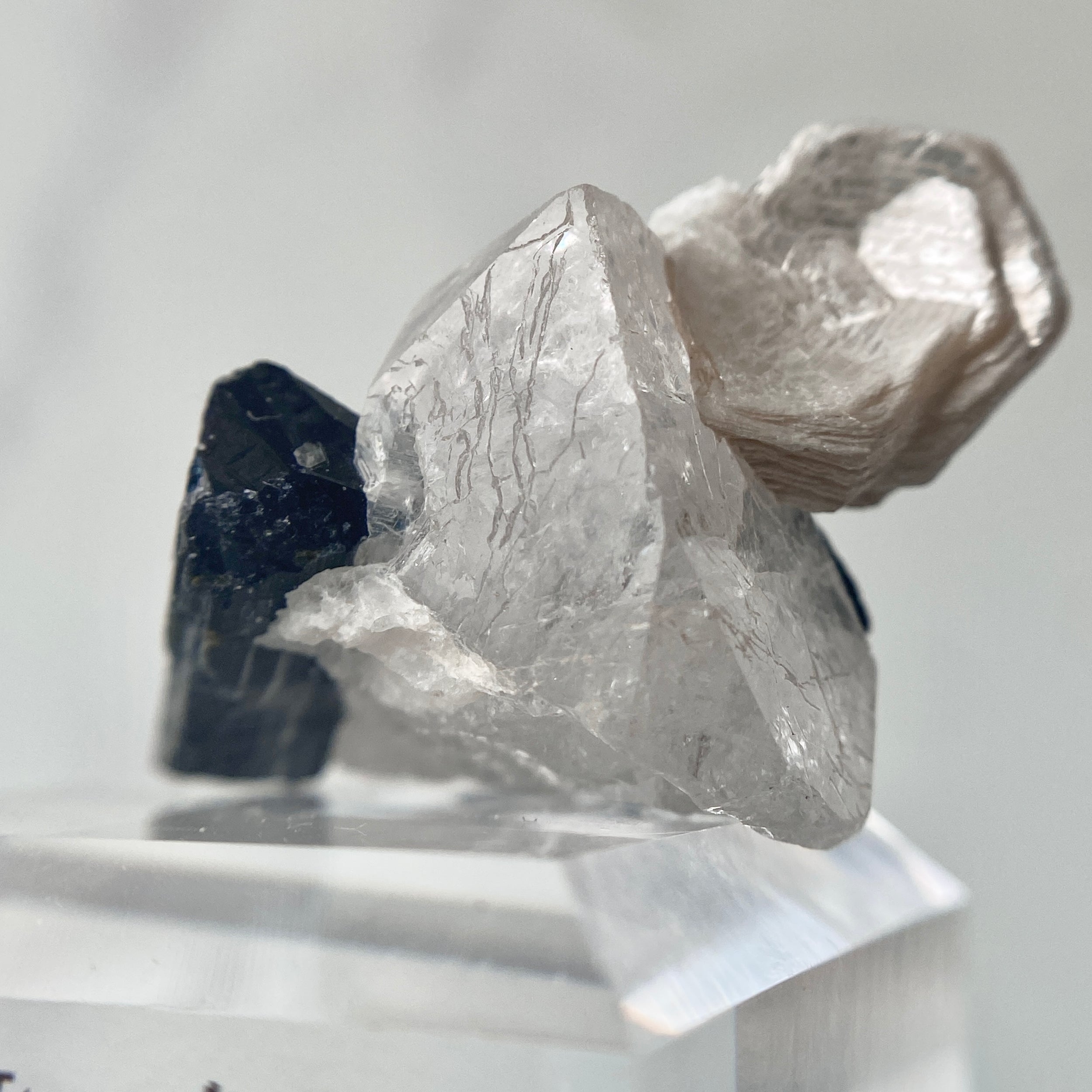 Schwarzer Turmalin (Schörl) mit Quarz, Albit & Glimmer auf Podest