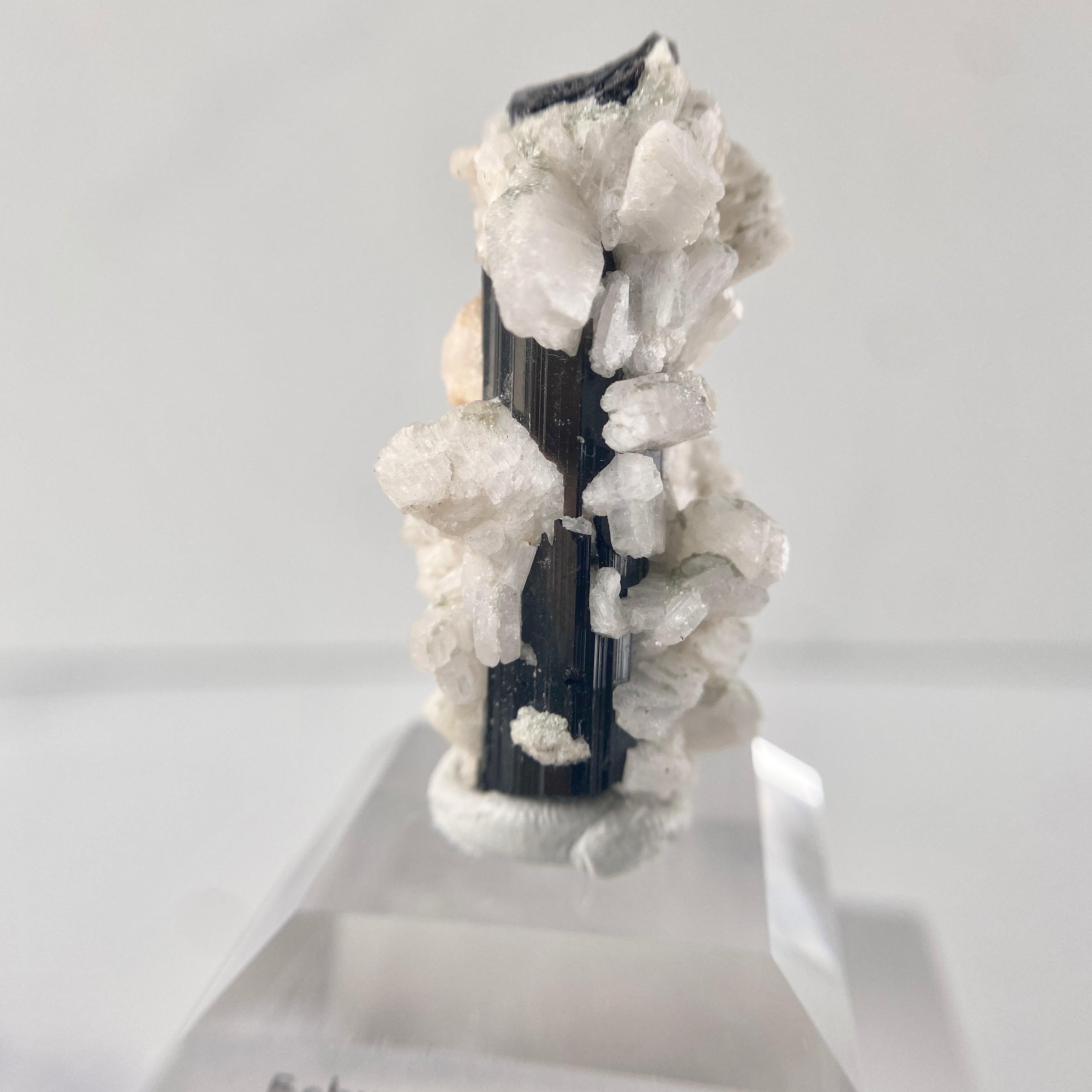 Schwarzer Turmalin (Schörl) mit Albit