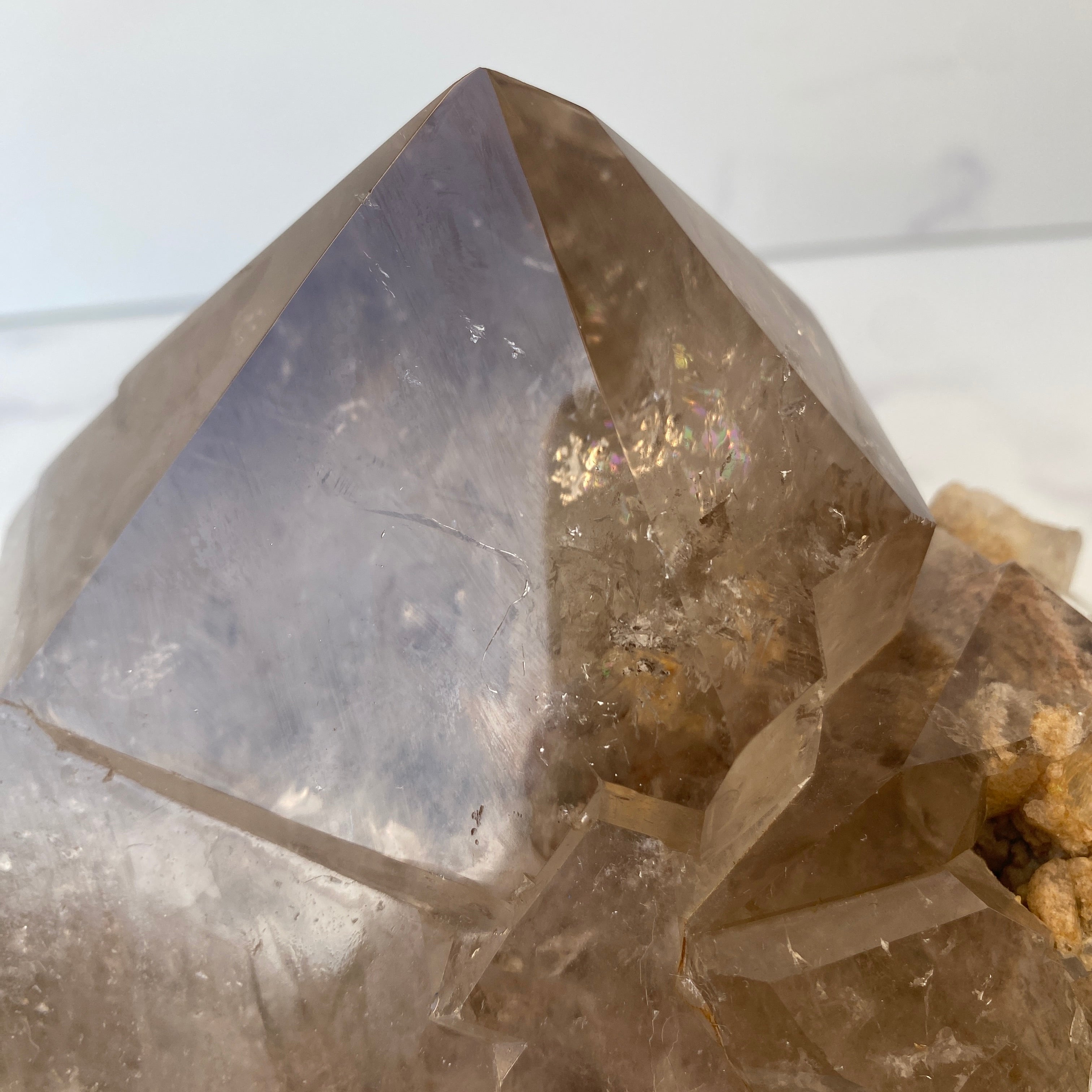 XL Rauchquarz Lodolith Rutil Cluster