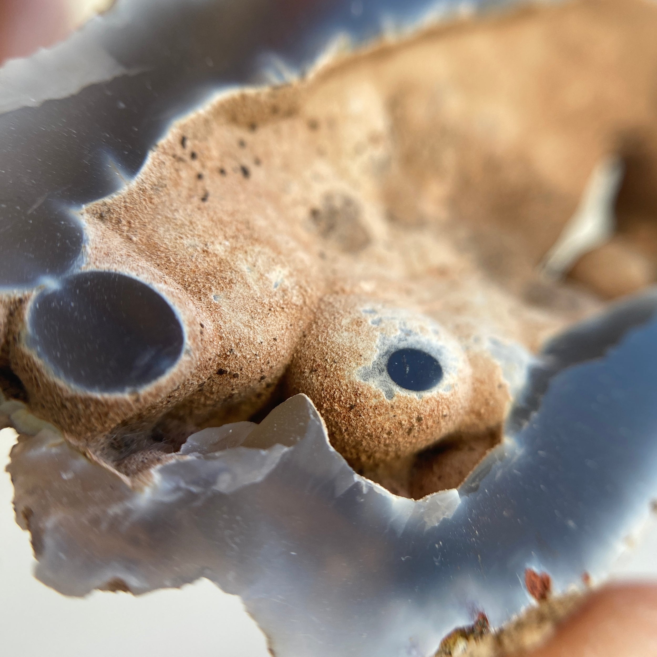 Achat Geode botryoidal