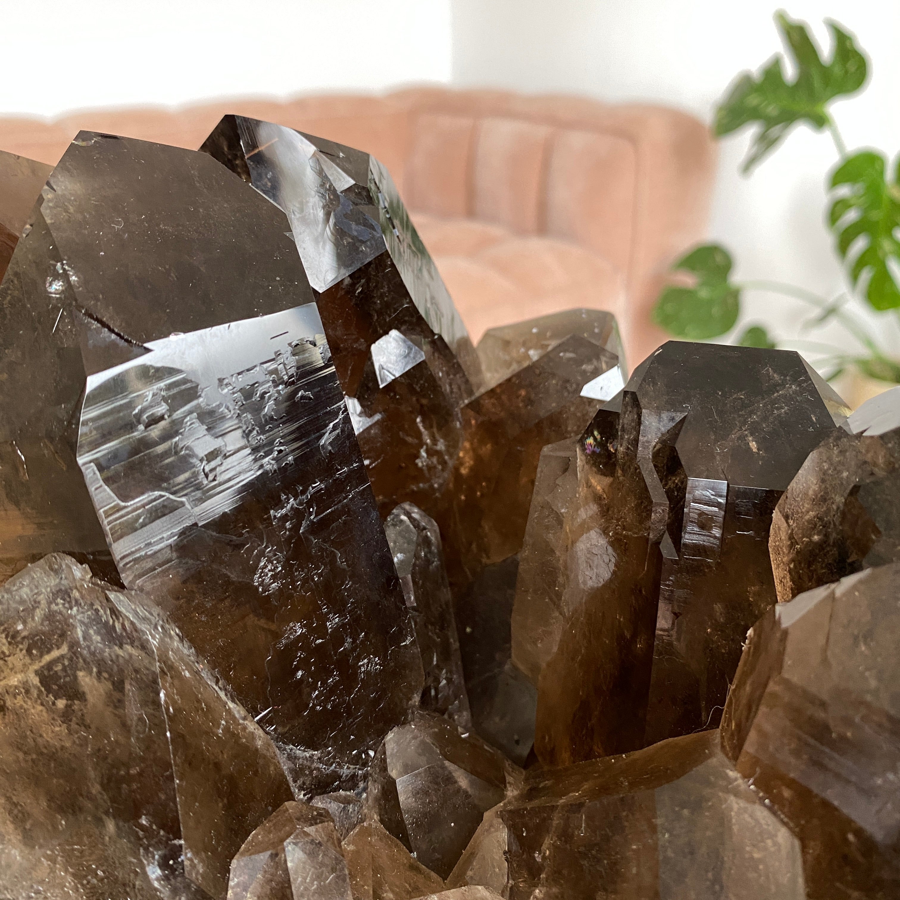 XL Rauchquarz Stufe, Rauchquarz Cluster