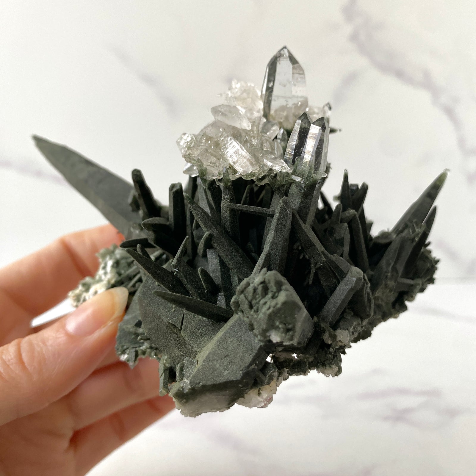 Selten - Himalaya (Nepal) Bergkristall Stufe mit Chlorit
