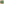 
        Grüner Fluorit Handschmeichler in einer Dekoschale
      